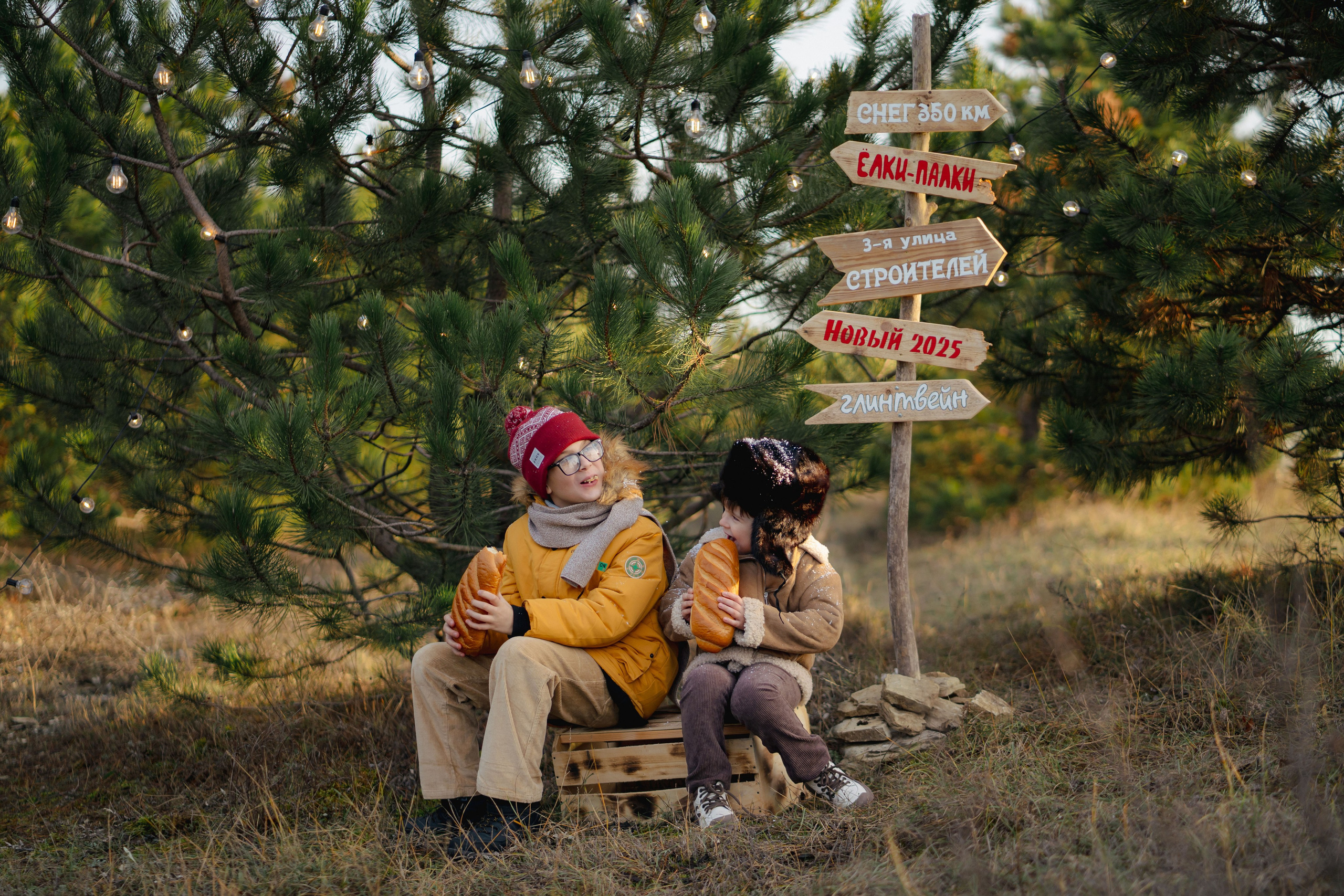 Новогодние. Елена Луковская. Семейная, портретная, репоражная съёмка