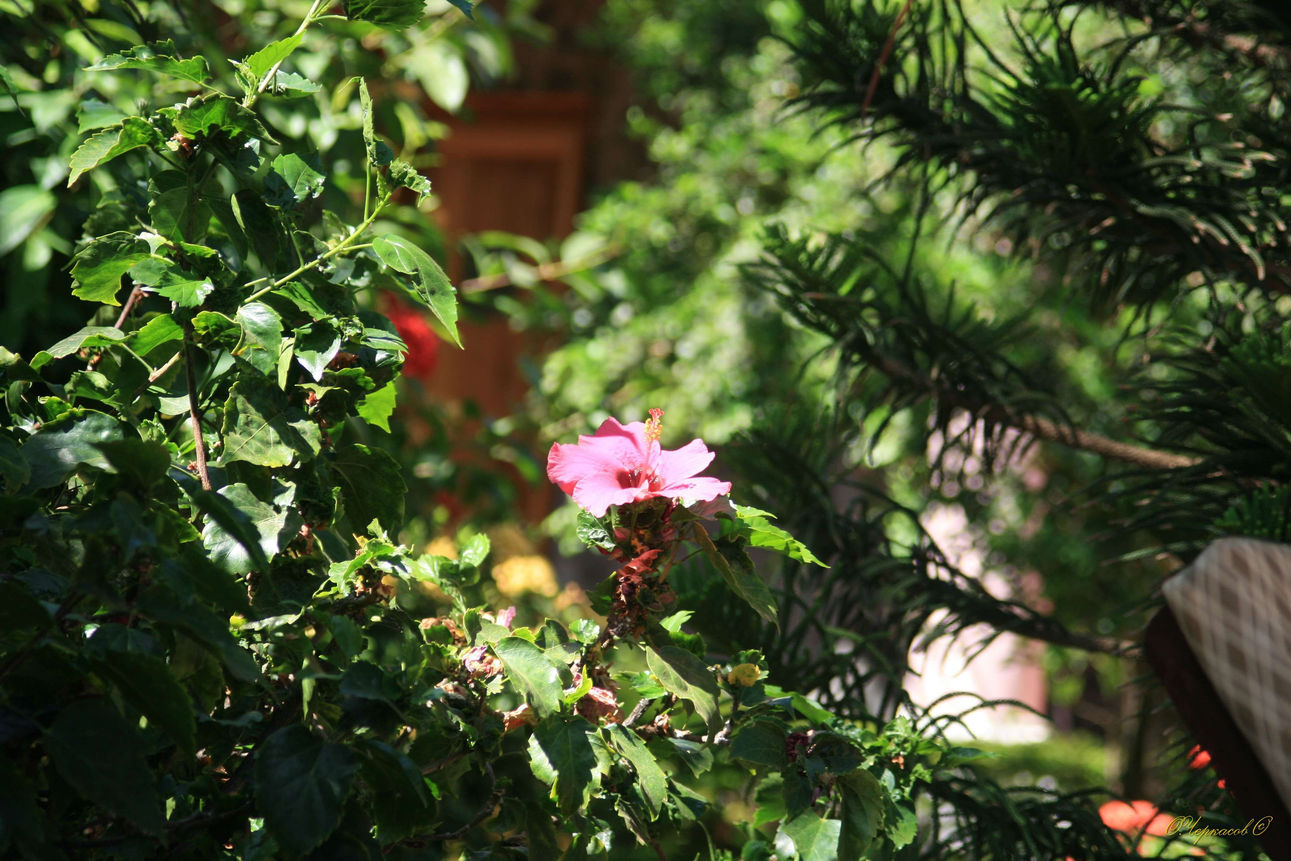 Вьетнам 2008 г. Улица, люди, жизнь…