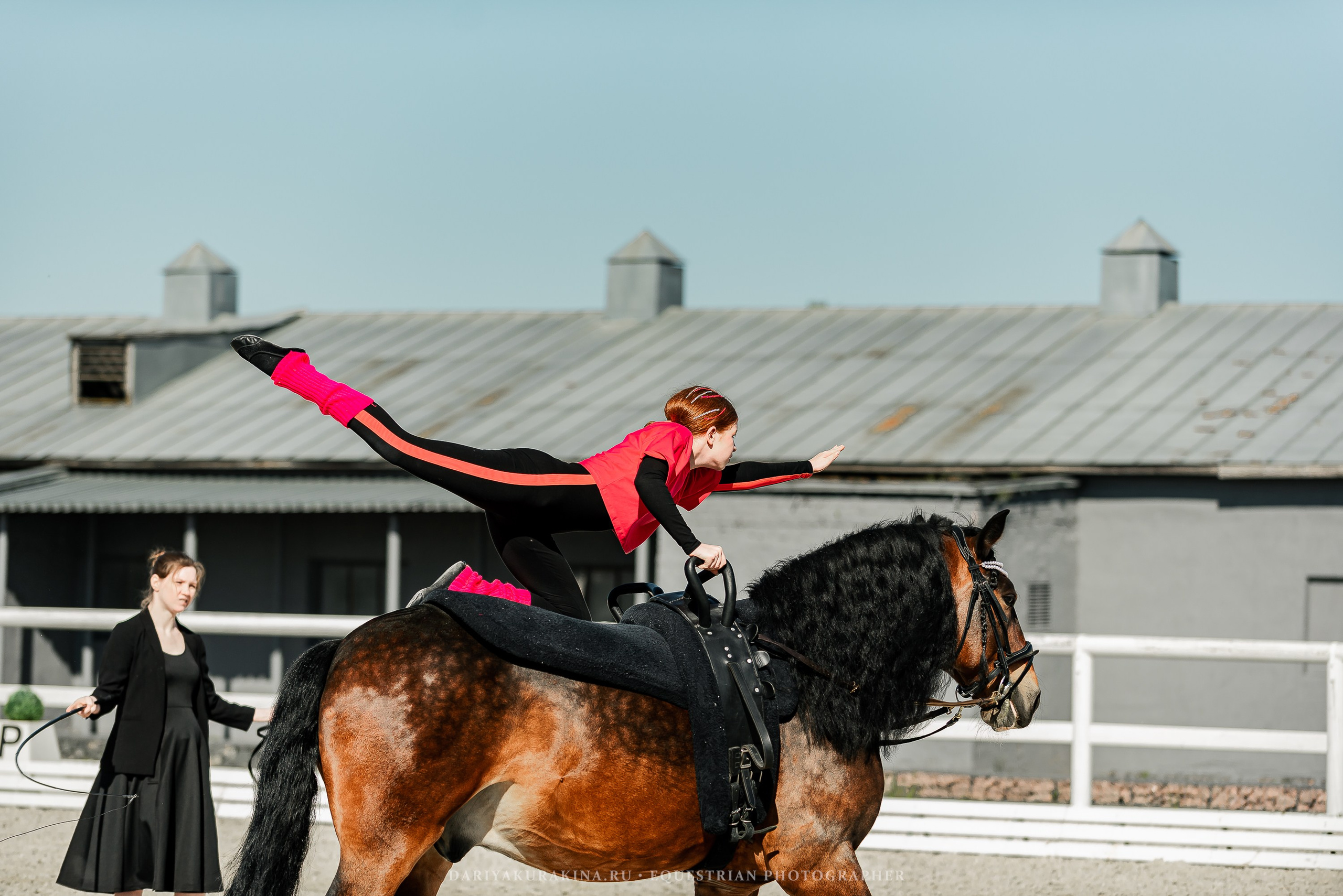 РЕПОРТАЖ МКК ВОЛЬТ «LA TULIPS». Конный фотограф Куракина Дарья • Фотосессии с лошадьми