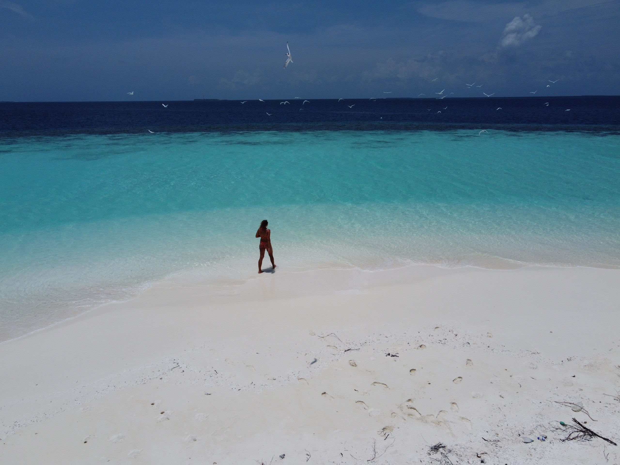 Пейзажи. Фотограф Мельник Ирина. Москва