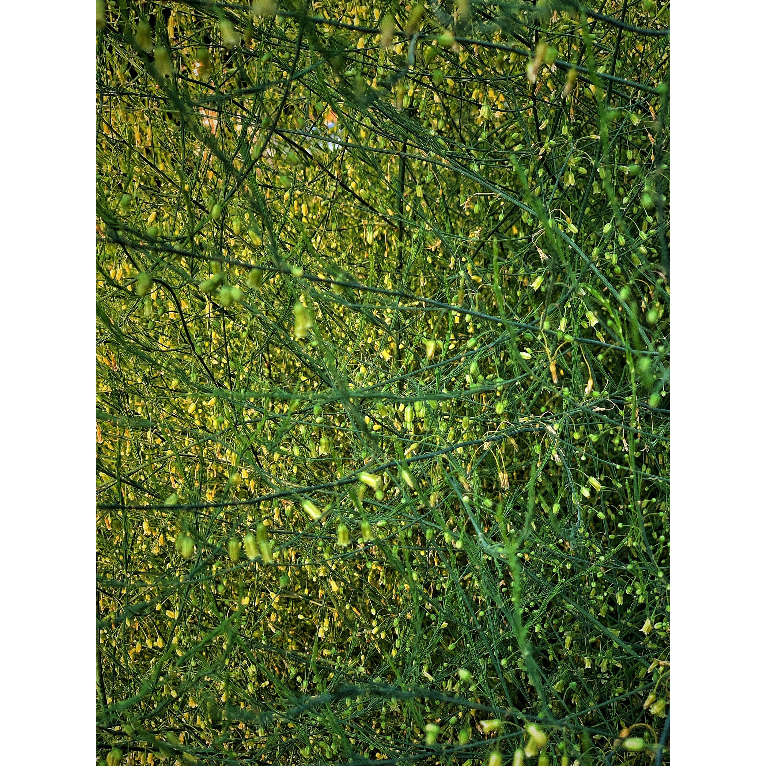 2020. Тащилин Сергей. Фотографии. Жизнь. Хобби