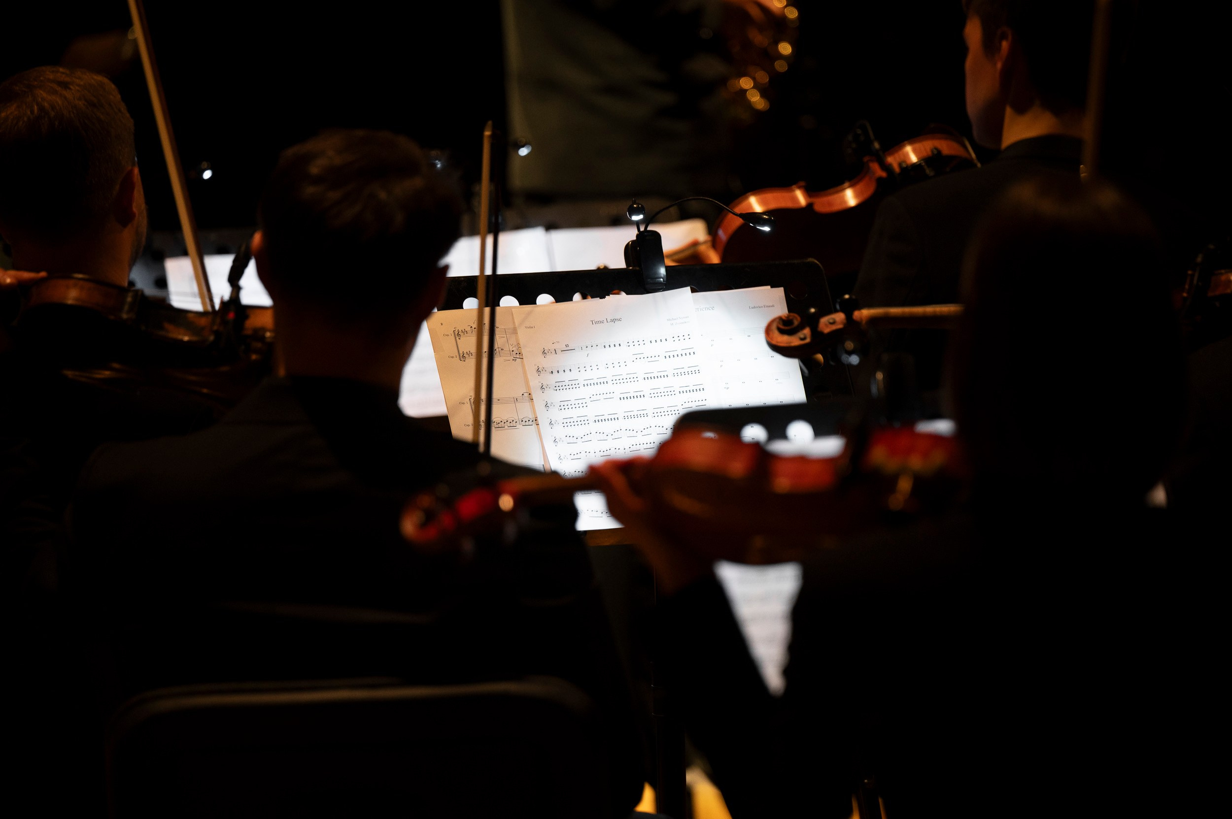 Lumisfera '25. Фотограф Антон Горин