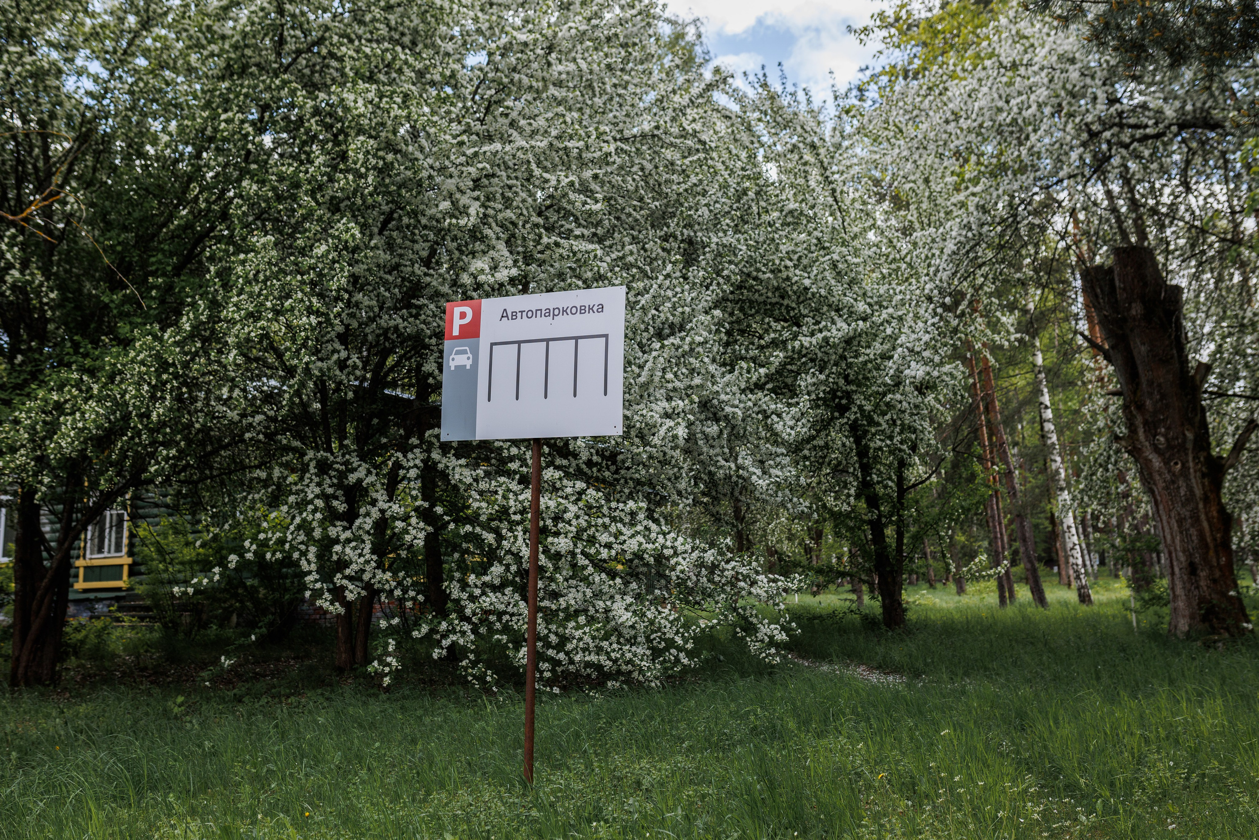 База отдыха «Металлург». Фотограф городских и семейных событий в Нижнем Новгороде Артем Карпухин