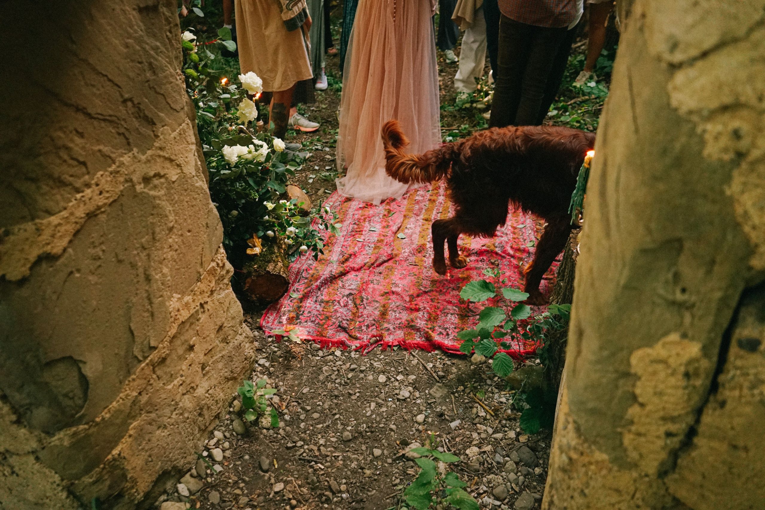 Свадебный фотограф в Грузии. Фотограф в Грузии ОАЭ | Nekit Fox