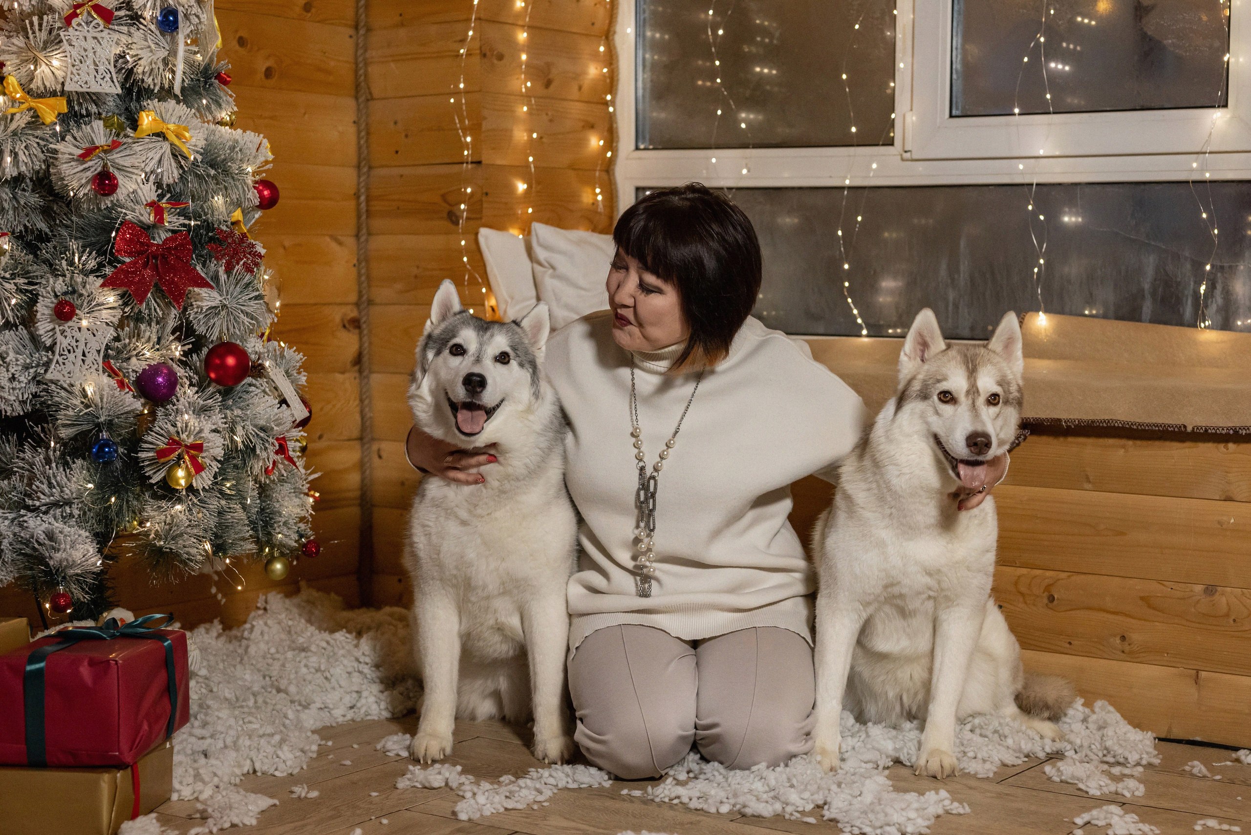 Фотопроект с хаски 2025 г. Фотограф в городе Салават