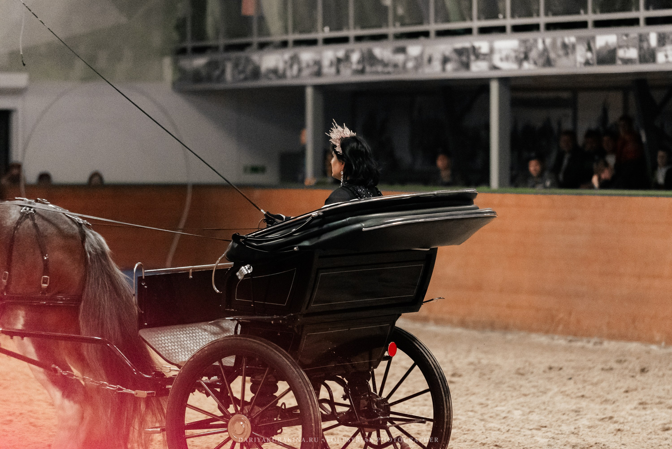 Конное представление «Дыхание Звёзд». Конный фотограф Куракина Дарья • Фотосессии с лошадьми