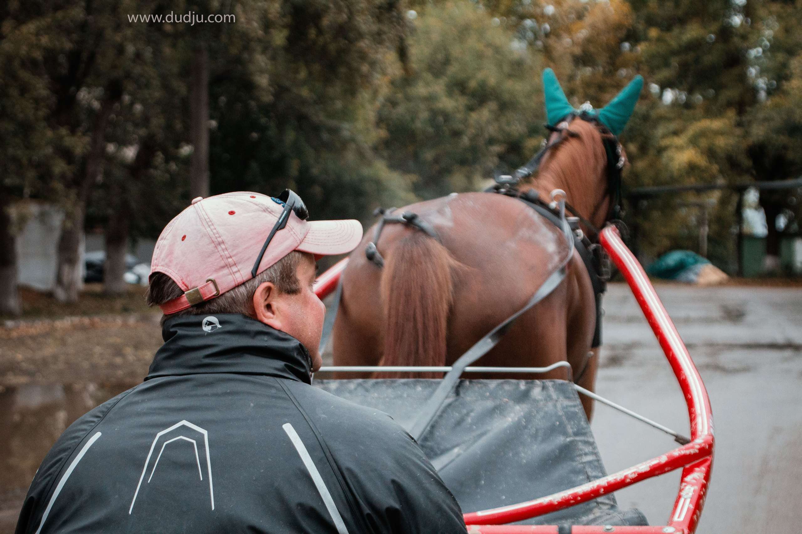 Ипподром. Фотограф в Москве Дудкова Юлия