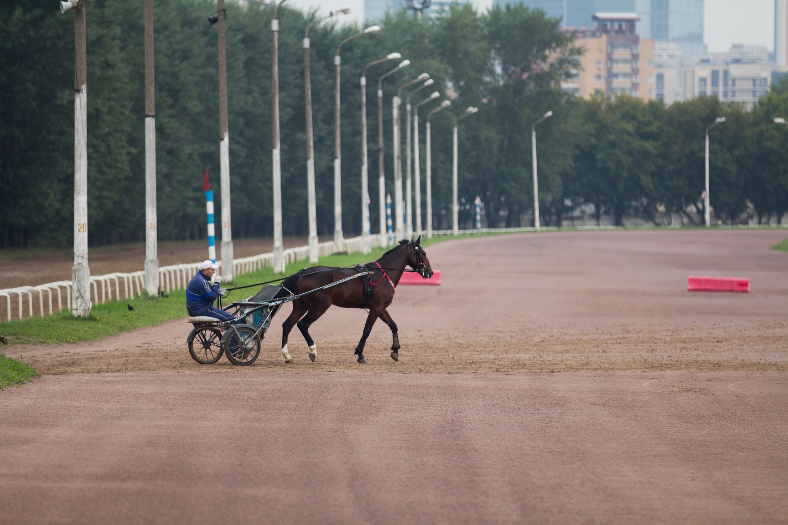 Ипподром. Фотограф в Москве Дудкова Юлия
