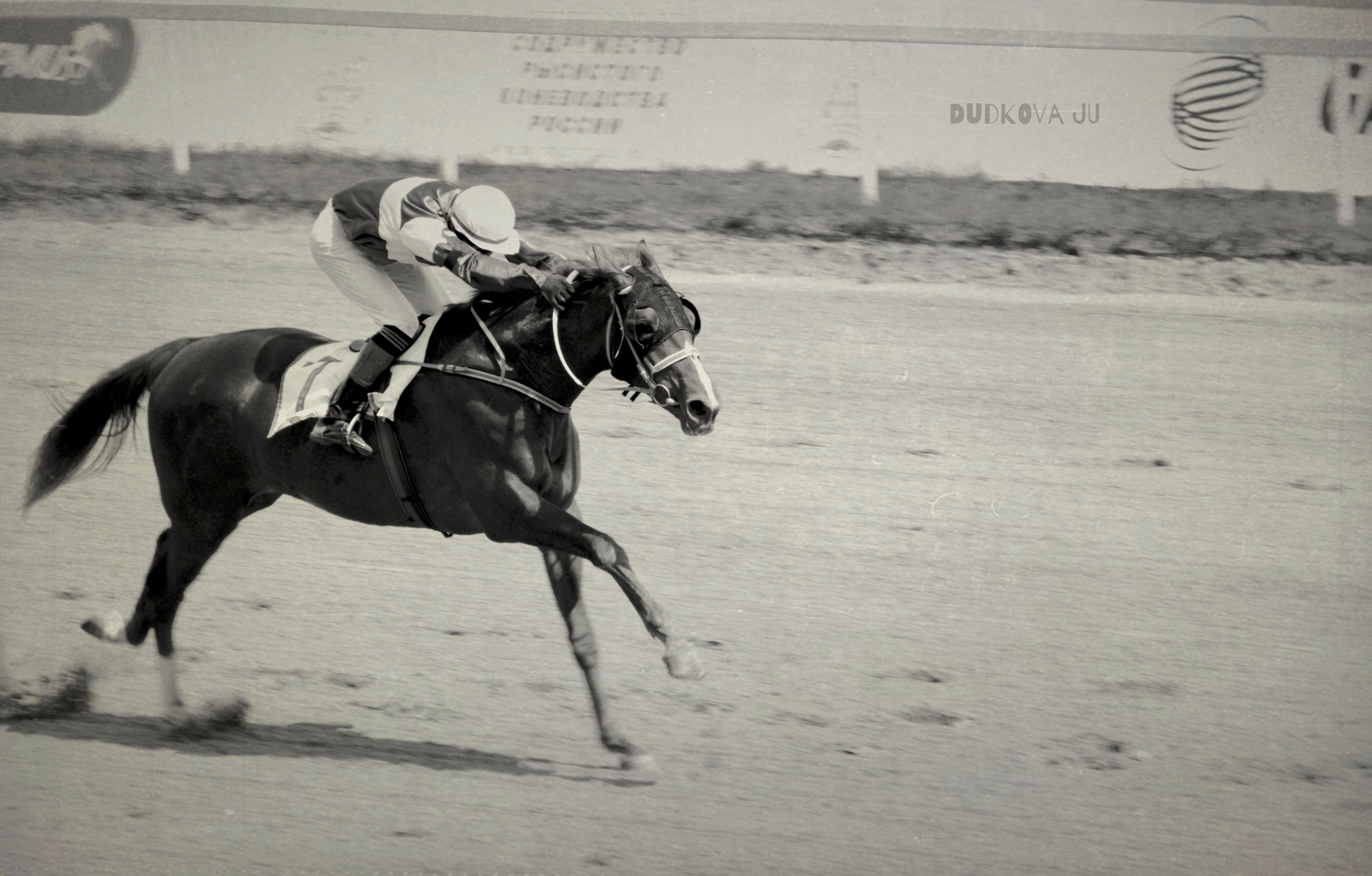 Ипподром. Фотограф в Москве Дудкова Юлия