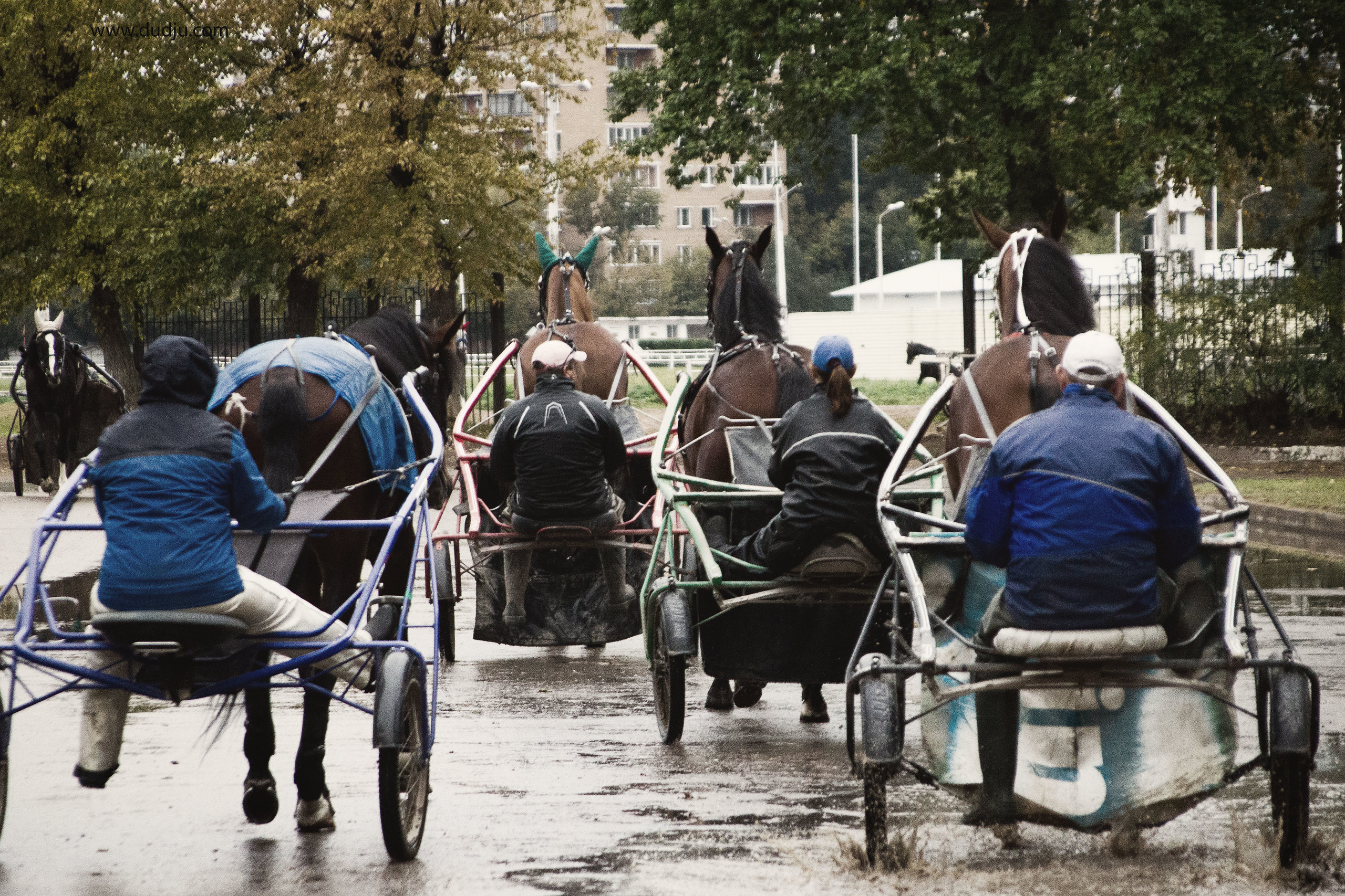 Ипподром. Фотограф в Москве Дудкова Юлия
