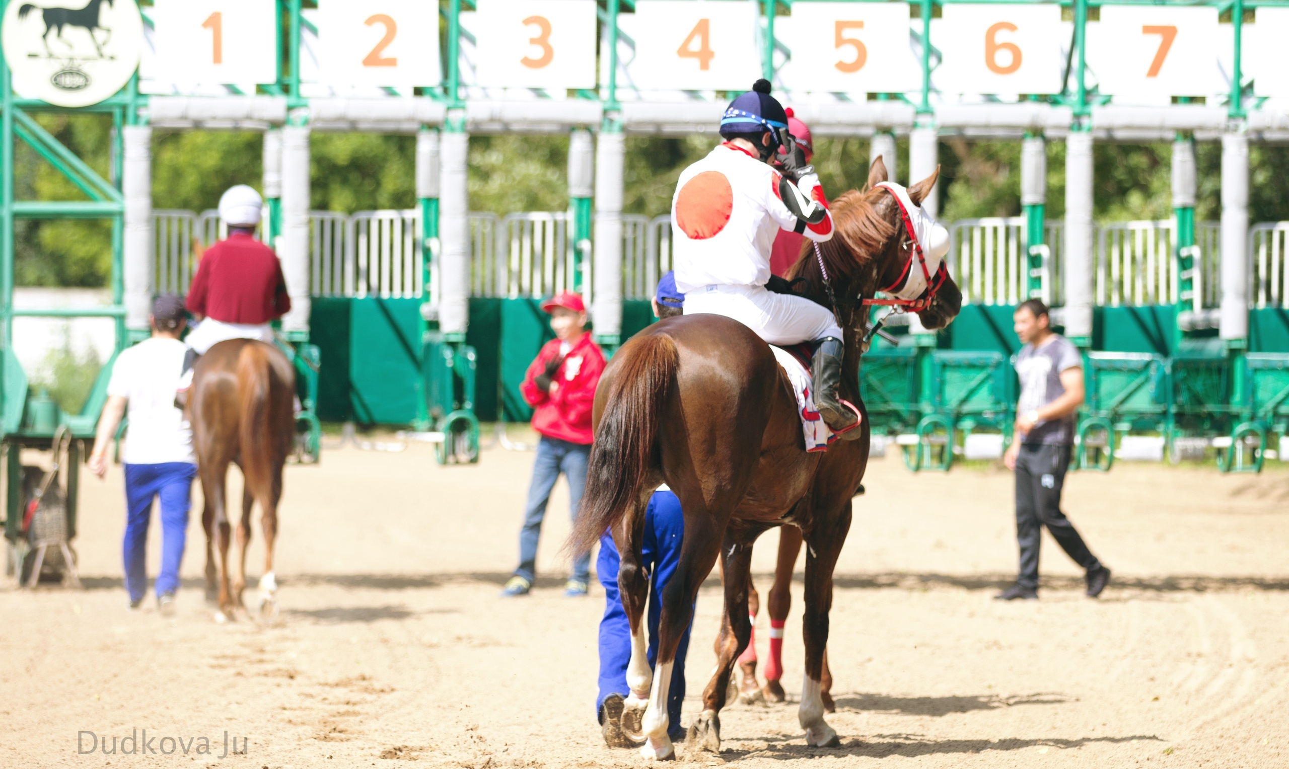 Ипподром. Фотограф в Москве Дудкова Юлия