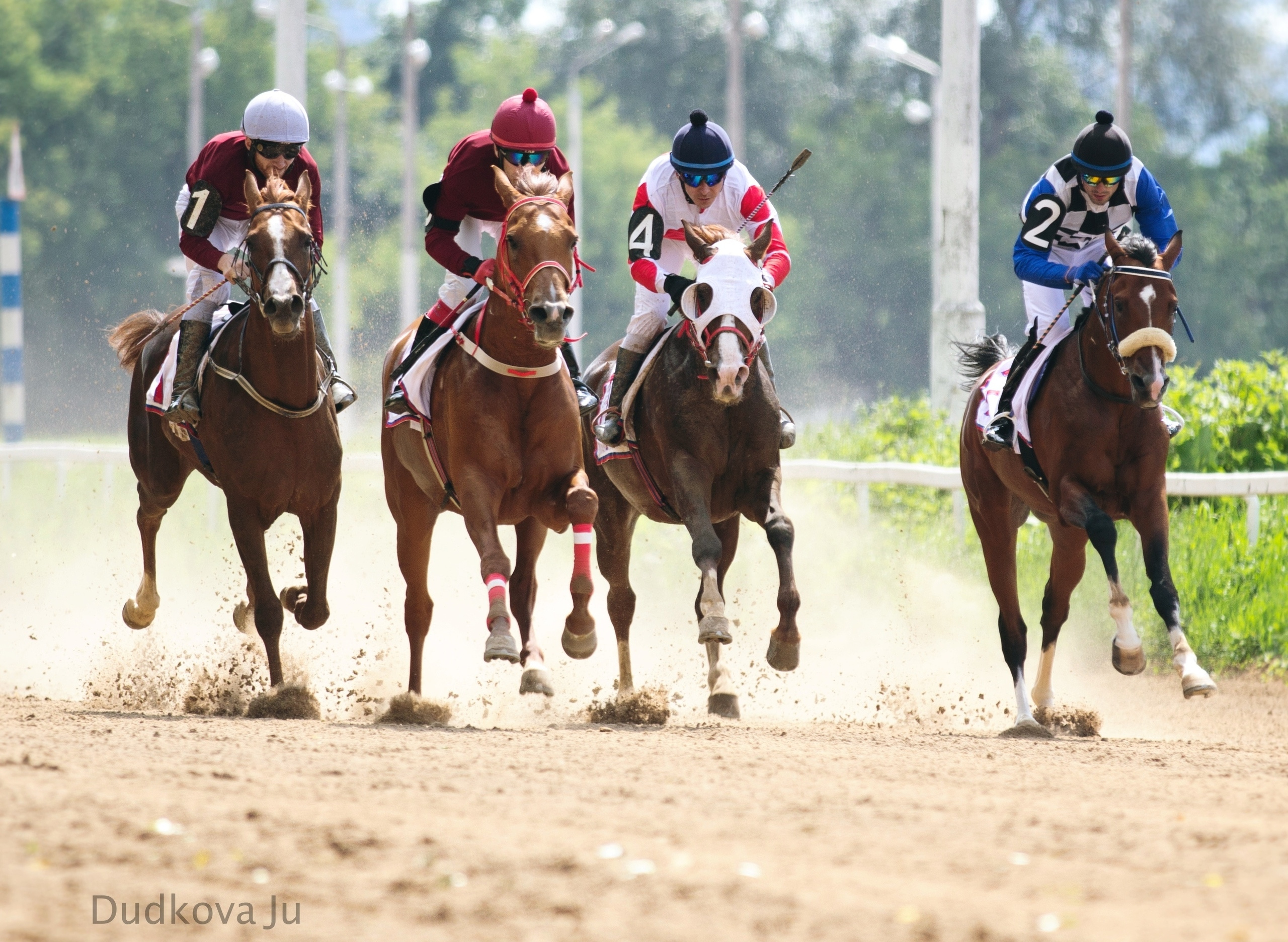 Ипподром. Фотограф в Москве Дудкова Юлия