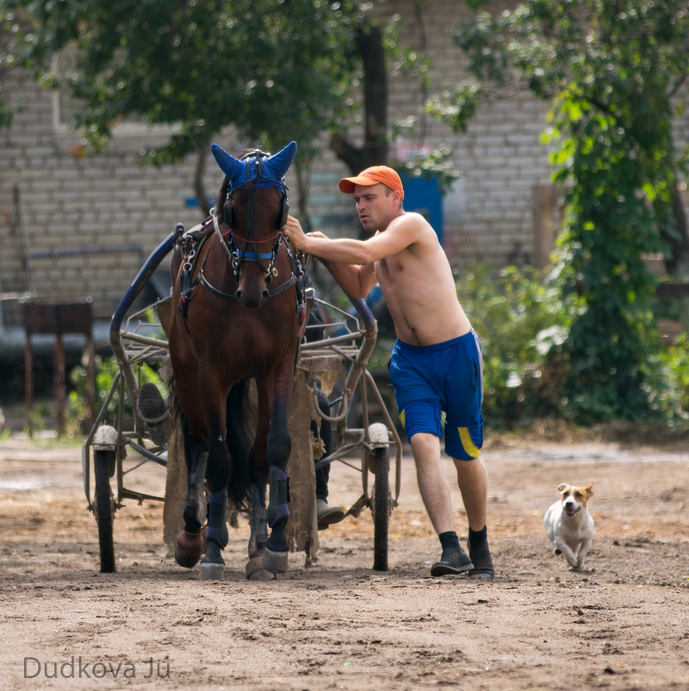 Ипподром. Фотограф в Москве Дудкова Юлия