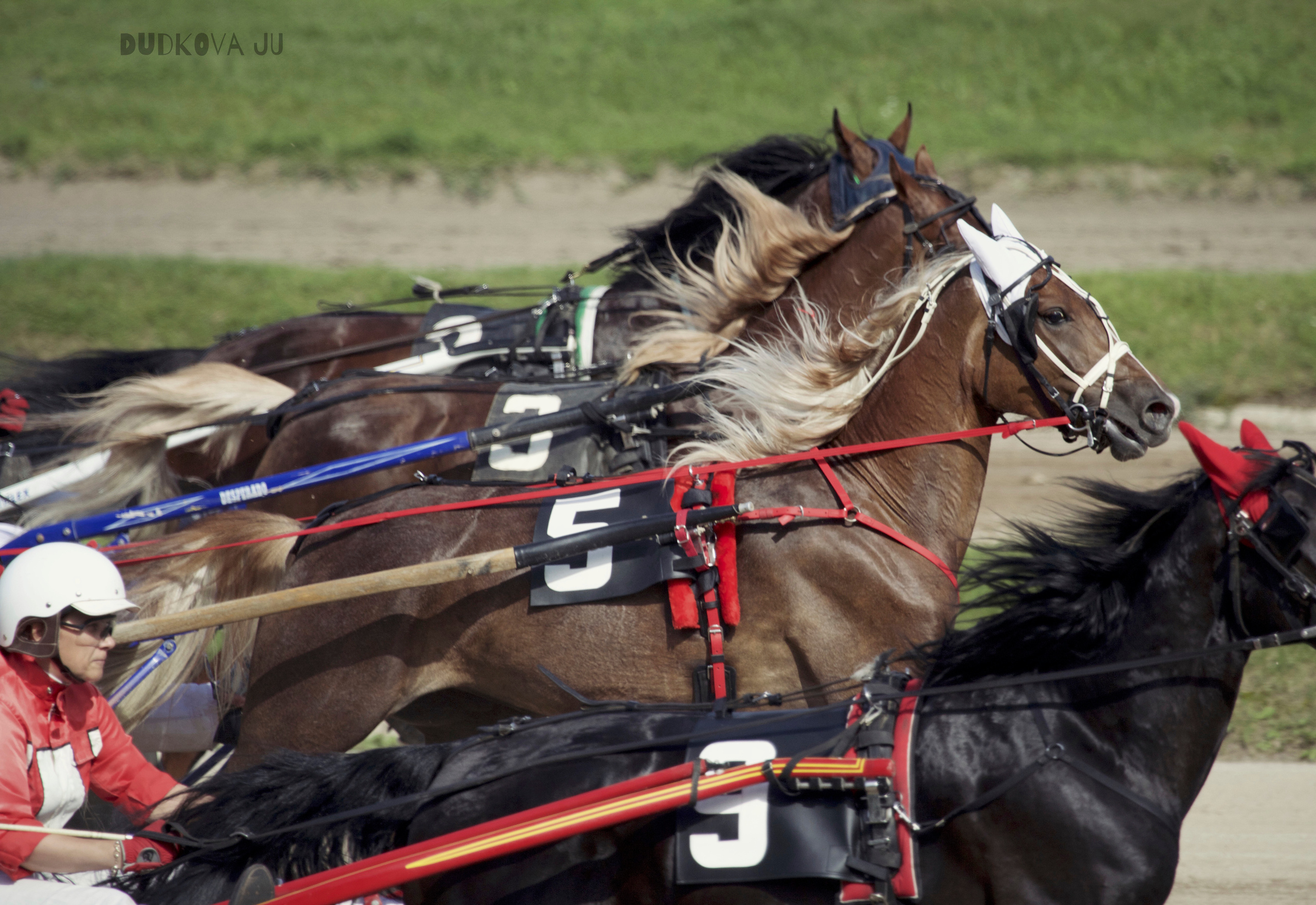 Ипподром. Фотограф в Москве Дудкова Юлия
