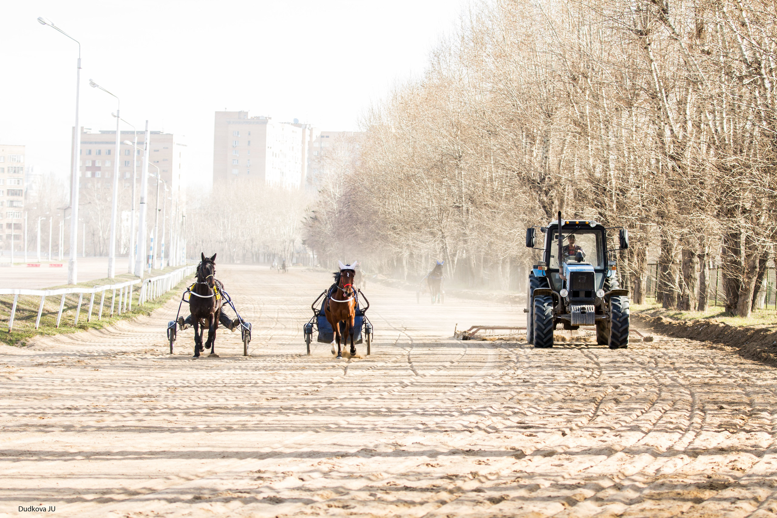 Ипподром. Фотограф в Москве Дудкова Юлия