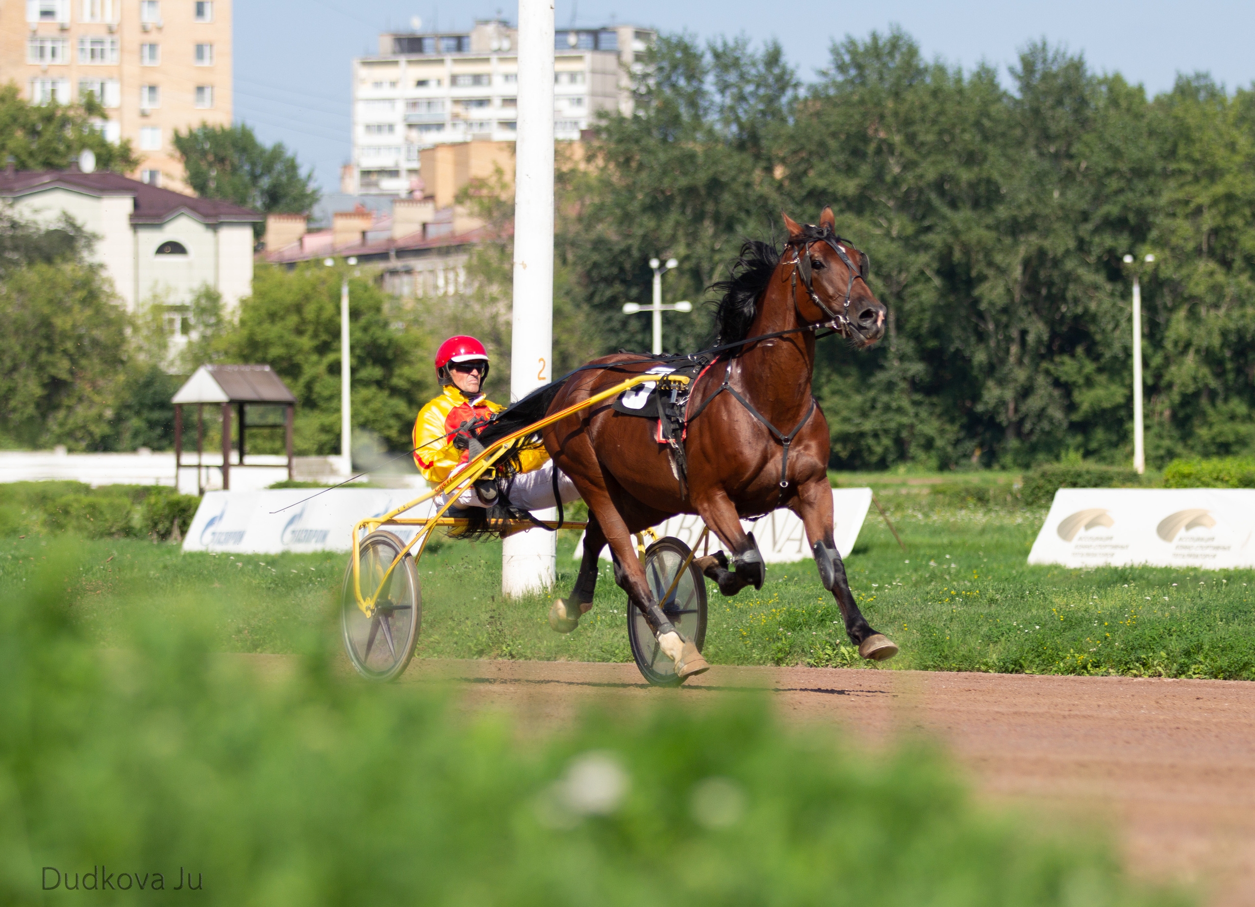 Ипподром. Фотограф в Москве Дудкова Юлия