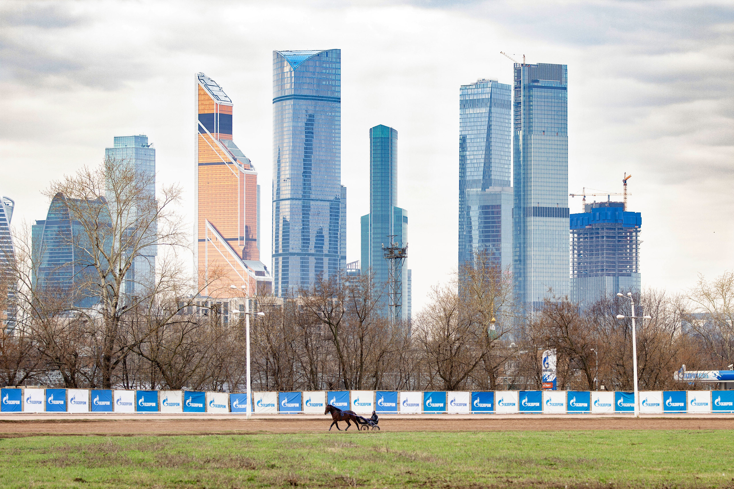 Ипподром. Фотограф в Москве Дудкова Юлия