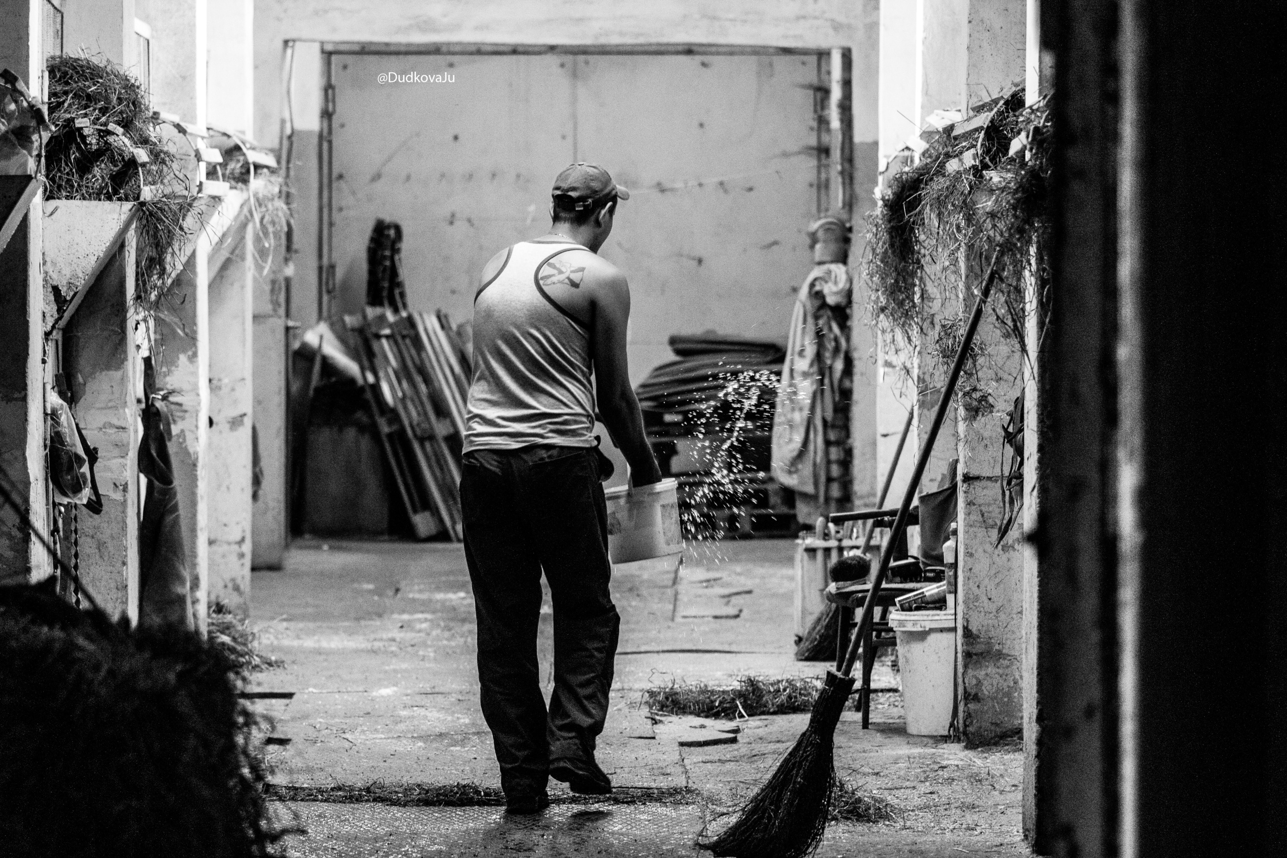 Ипподром. Фотограф в Москве Дудкова Юлия