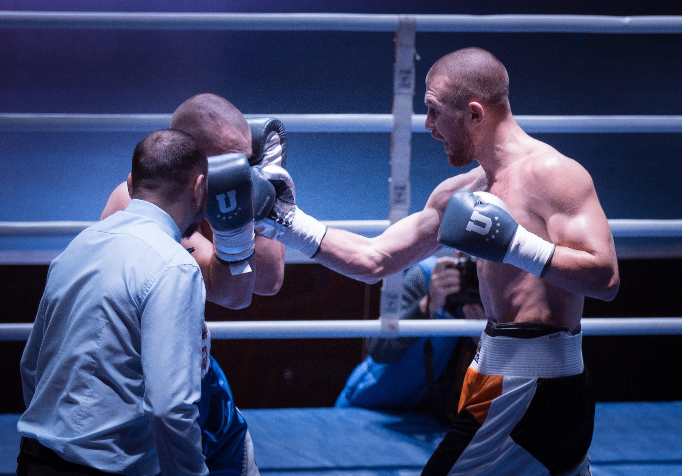 Спорт/Бокс/Репортаж. Фотограф в Москве Дудкова Юлия