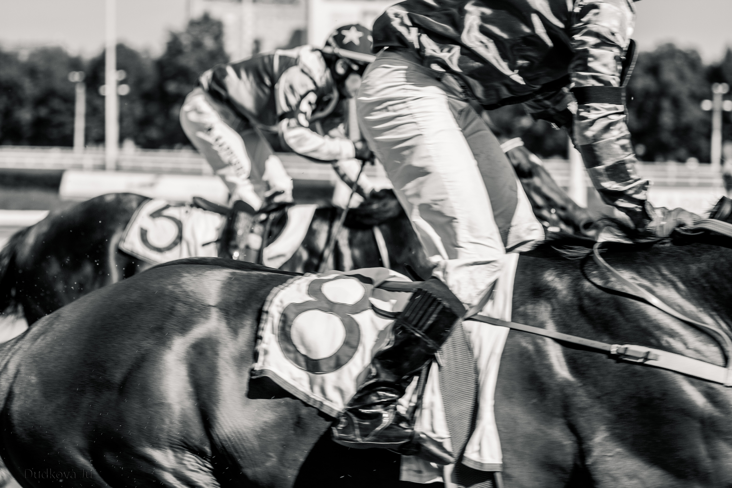 Ипподром. Фотограф в Москве Дудкова Юлия