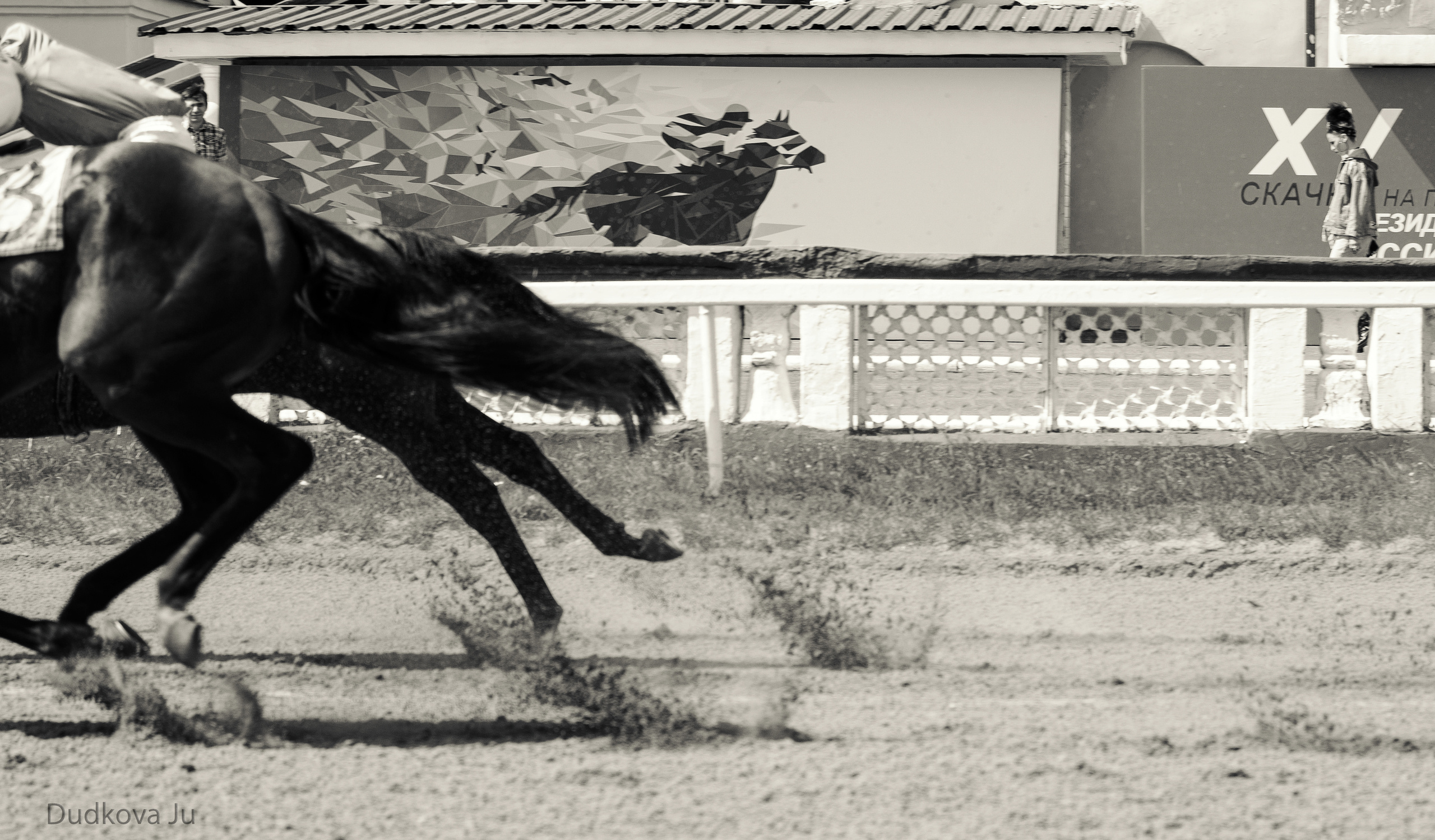Ипподром. Фотограф в Москве Дудкова Юлия