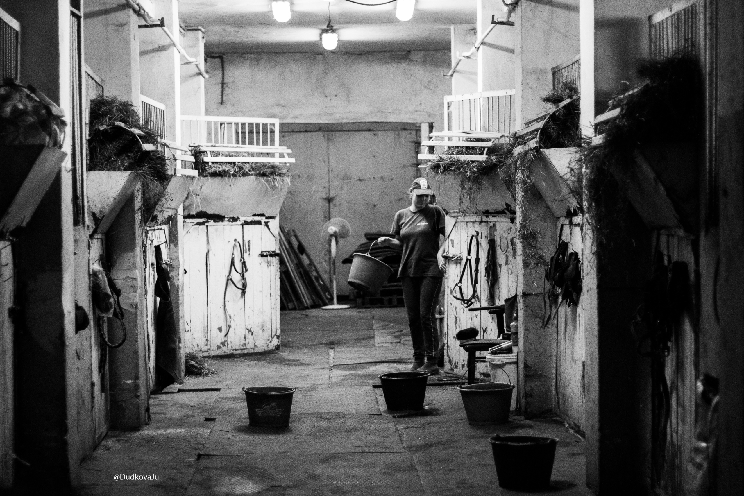 Ипподром. Фотограф в Москве Дудкова Юлия