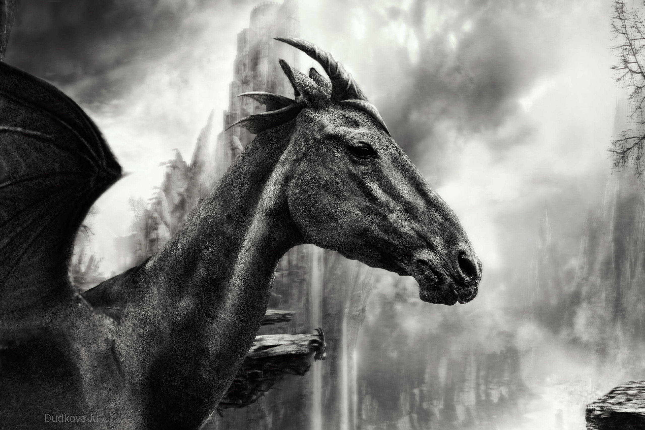 Драконы умирают не от старости.От тоски.Такой, что рвет даже самое сильное сердце.Когда своды просторной пещеры вдруг становятся слишком низки,и Рожденный Огнем не в силах в огне том согреться.Что Дракону его златокаменный дом, в самом деле?И зачем ему рыцарь, запеченный в собственных латах?От визжанья принцесс третий век его мучат мигрени,а за порчу прически они тот час же требуют плату.И такая тоска пострашней самых лютых атак,пострашнее осад, глупых рыцарей и менестрелей.Весь построенный мир вдруг срывает в дурное "не так!"И Драконы становятся если не терпеливей,то злее.Просто знай. Драконы уходят не от старости.От тоски.Если встретишь его - не спеши убираться с дороги.Расскажи ему сказку. И под тенью крыла посиди.Ведь в драконьи глаза заглянуть удавалось не многим.(с) Исмагилова Гузель