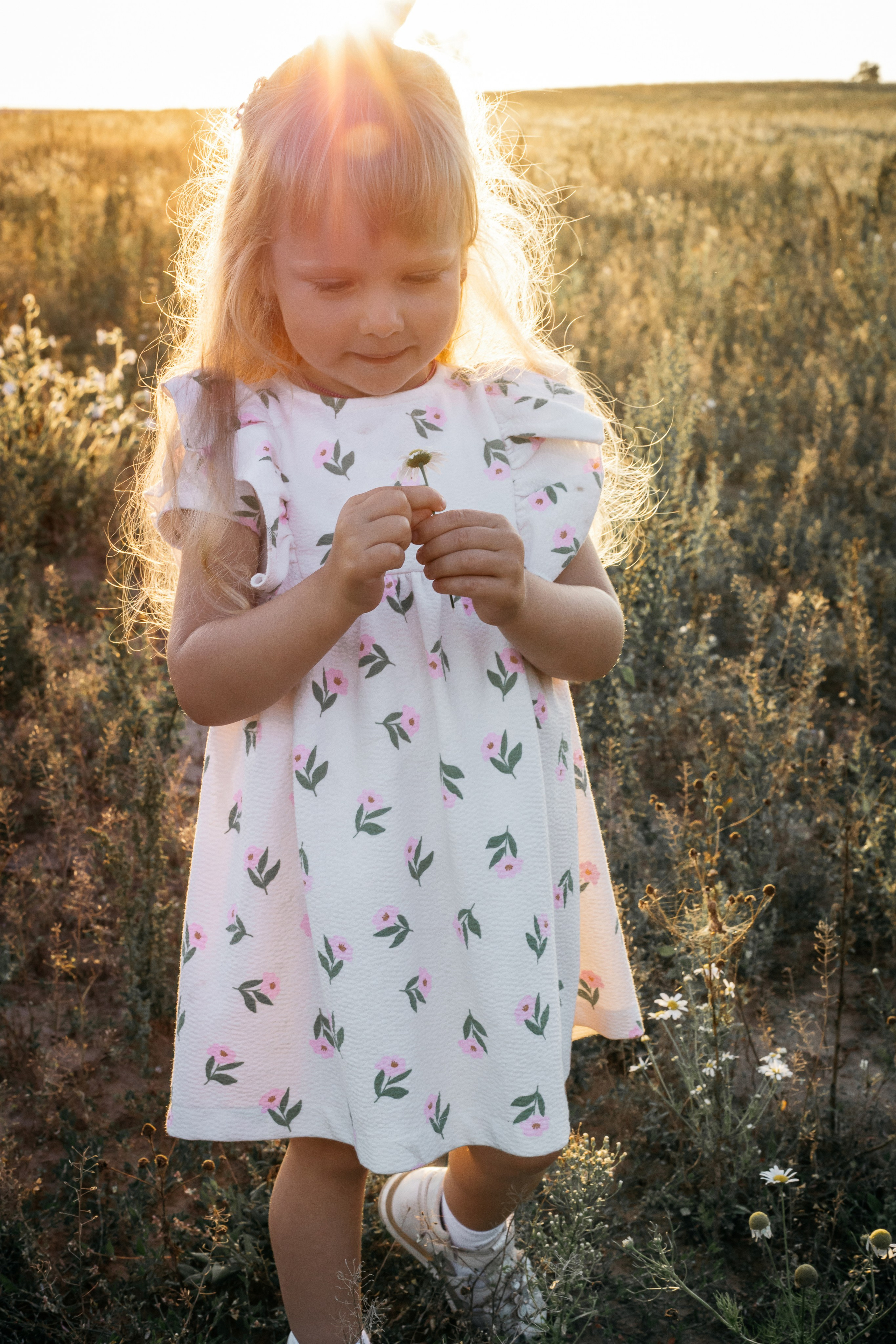 Закат. Свадебный, семейный фотограф Беларусь