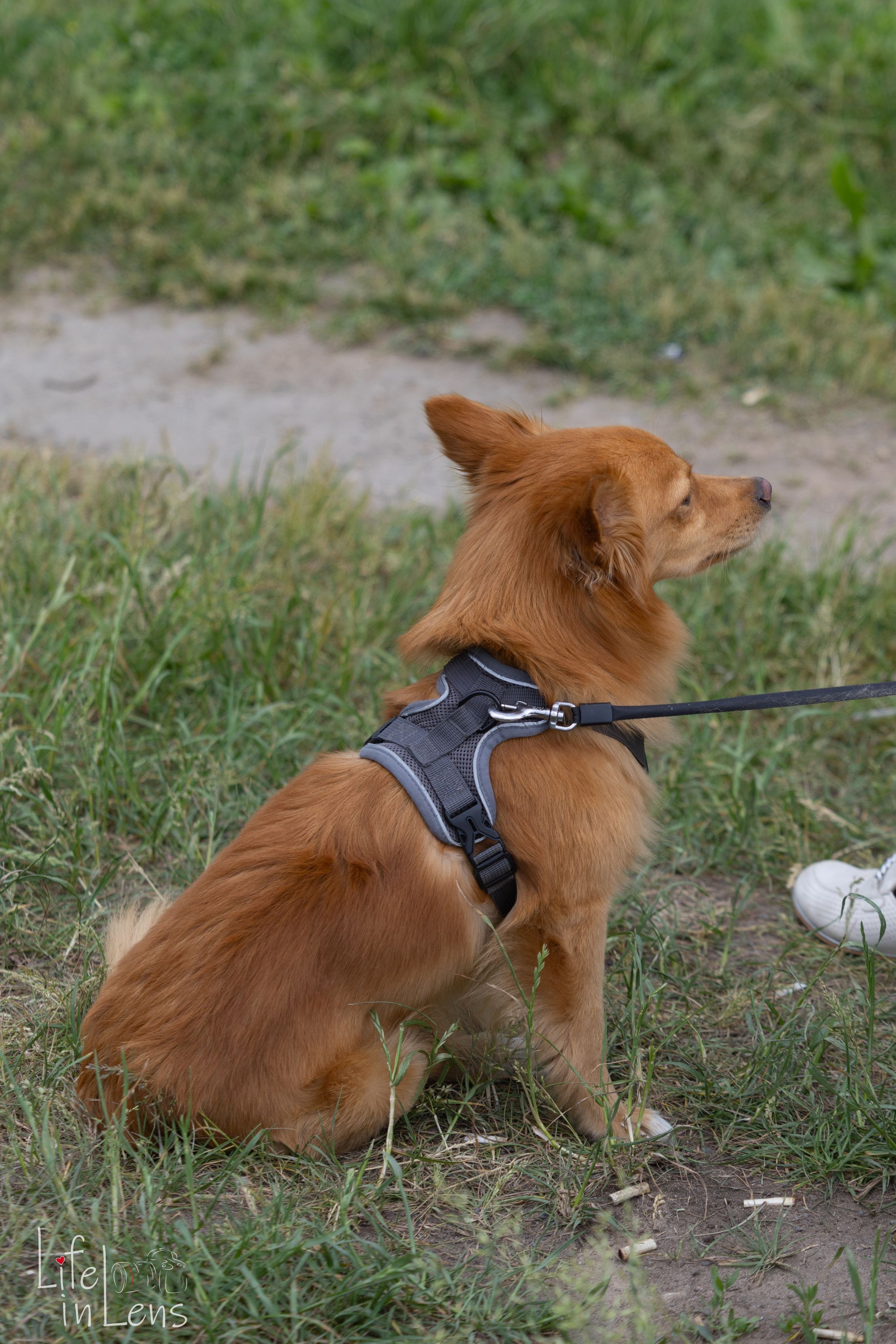 Парк Кузьминки. Фотограф, получающий удовольствие от своей работы