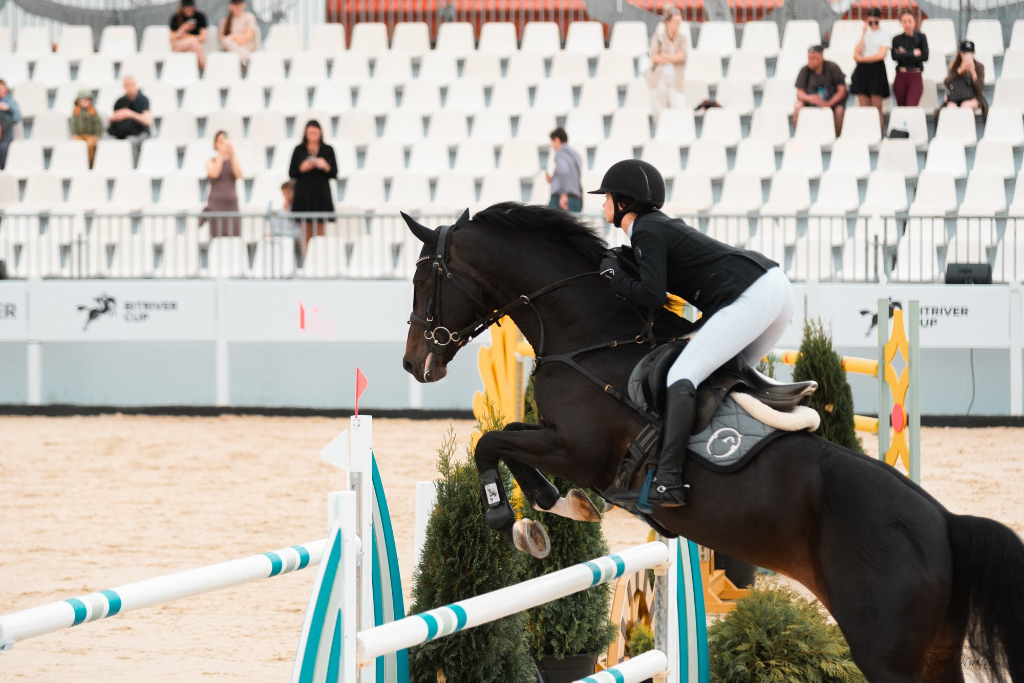 BITRIVER CUP 2023. Конный фотограф Куракина Дарья • Фотосессии с лошадьми