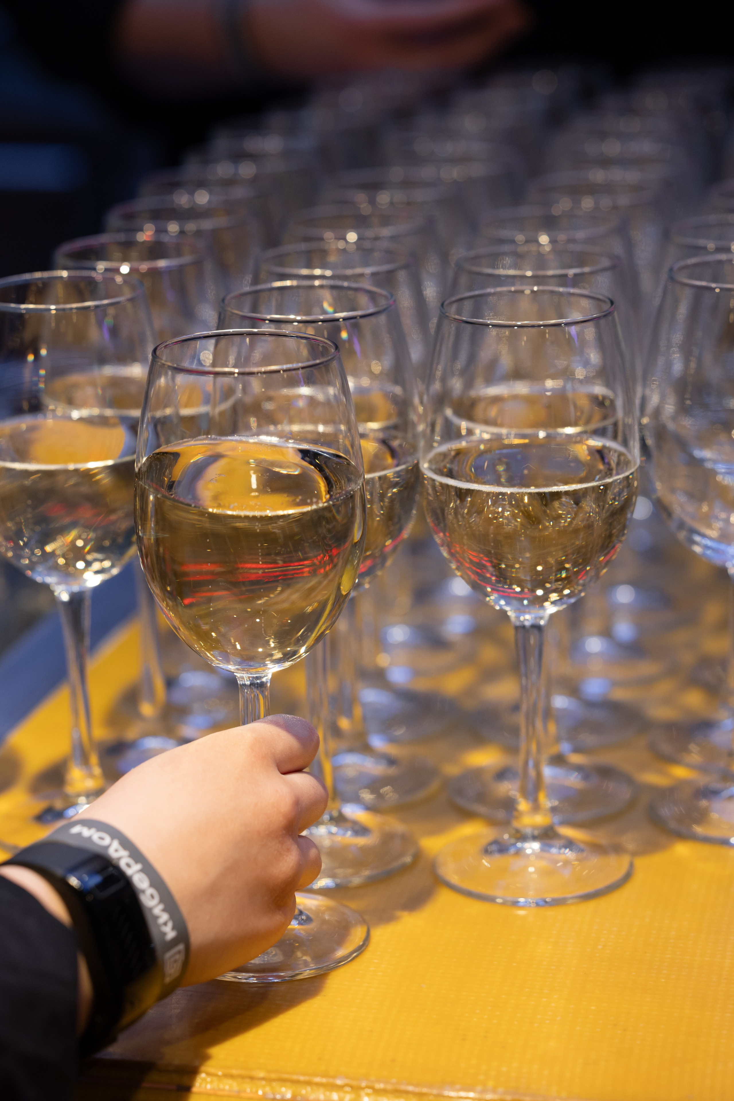 Новые Горизонты ЭТП ГПБ Кибердом. Фотограф Москва Людмила Белова