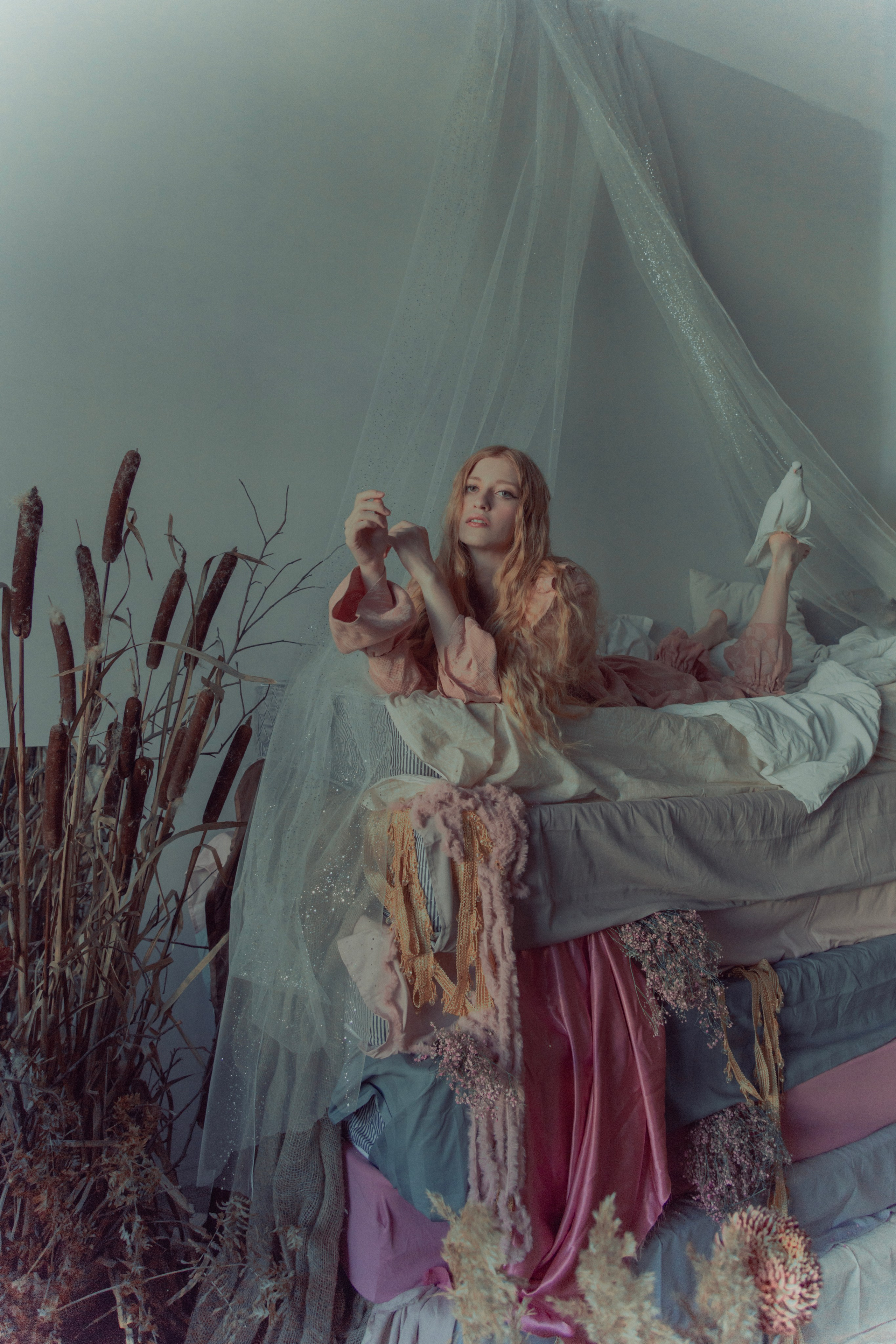 Голубь. Фотограф Anita Mivchas