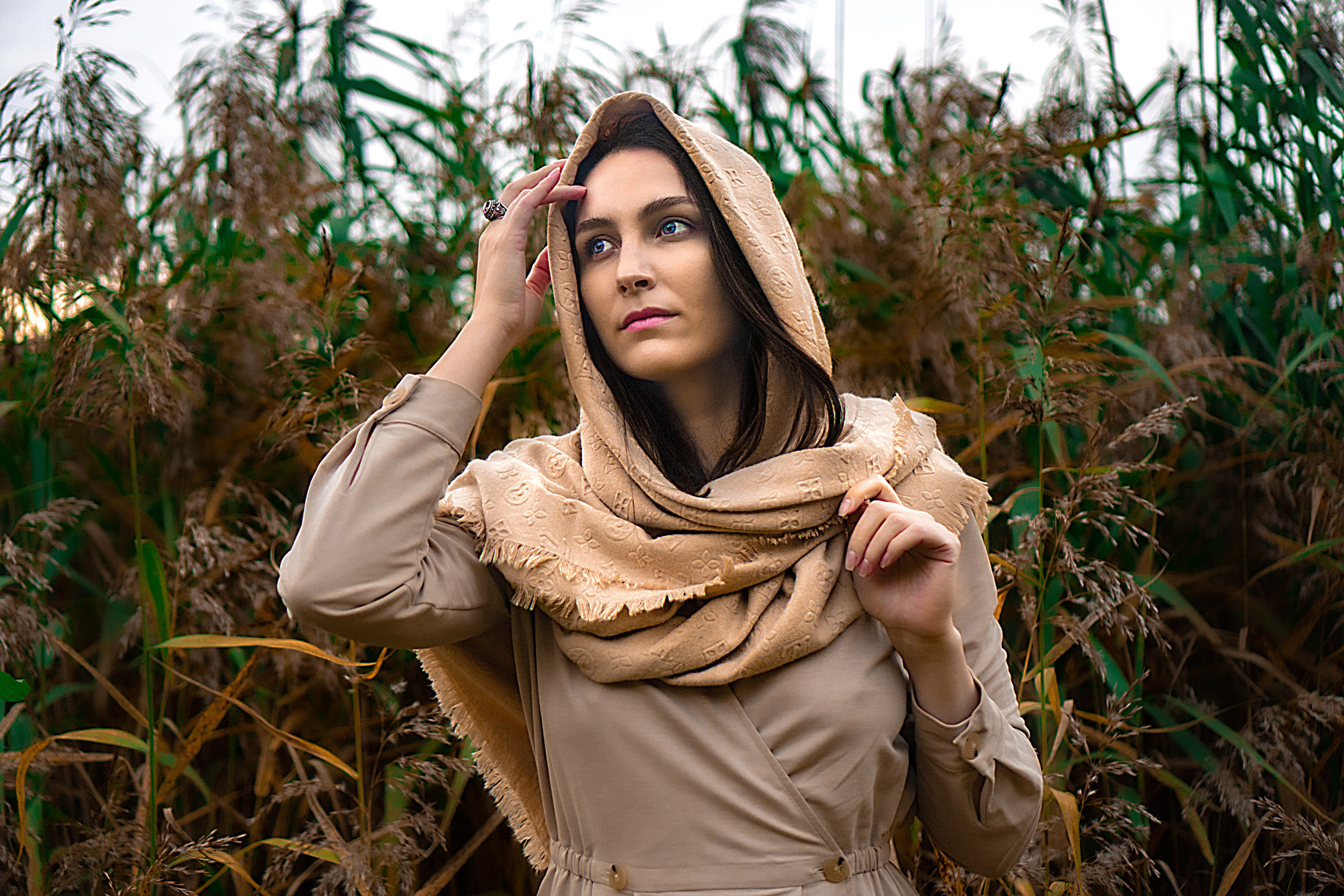 Заказать фотосессию. Фотограф. Москва. Алексей Светомиров. Love Story, портретная съемка