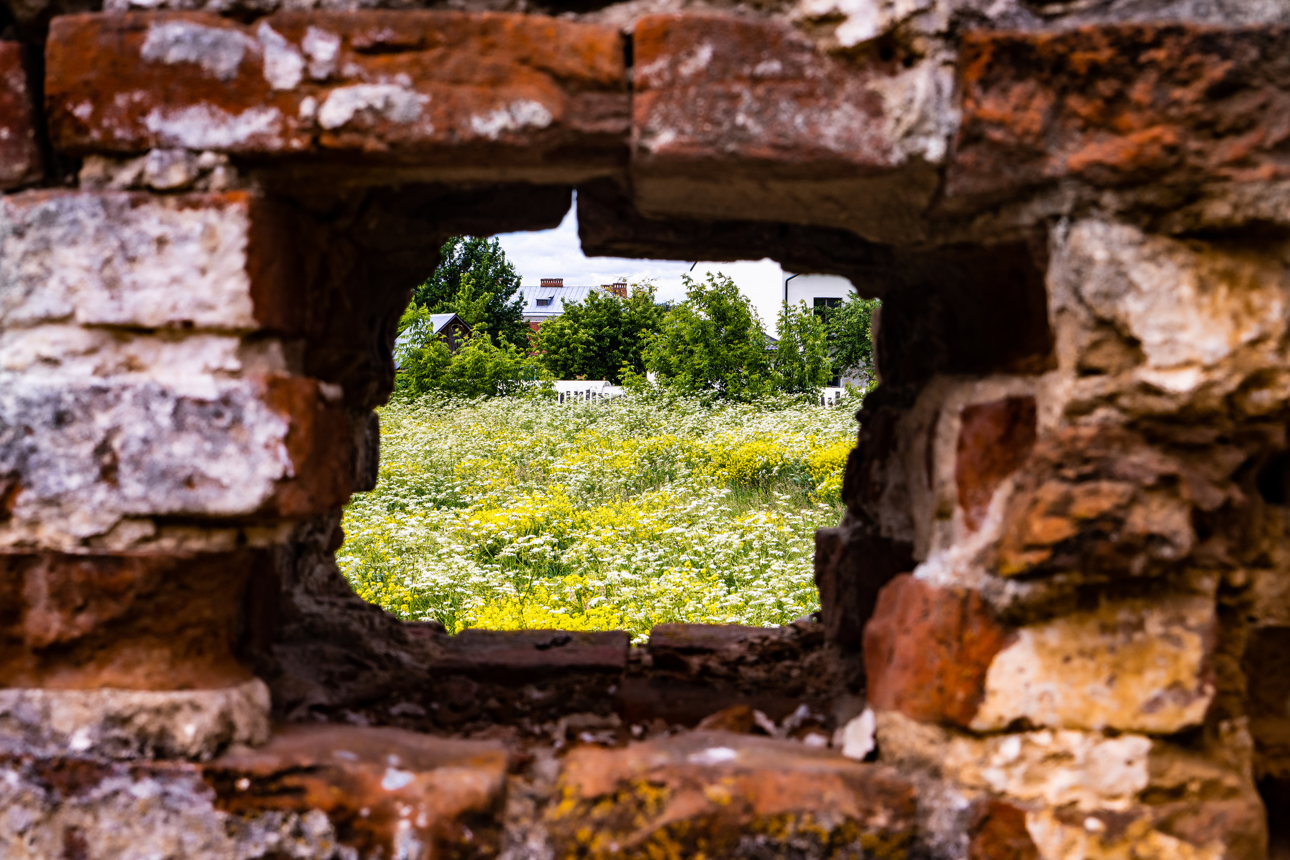 Прогулки в Суздали. Фотограф. Москва. Алексей Светомиров. Love Story, портретная съемка