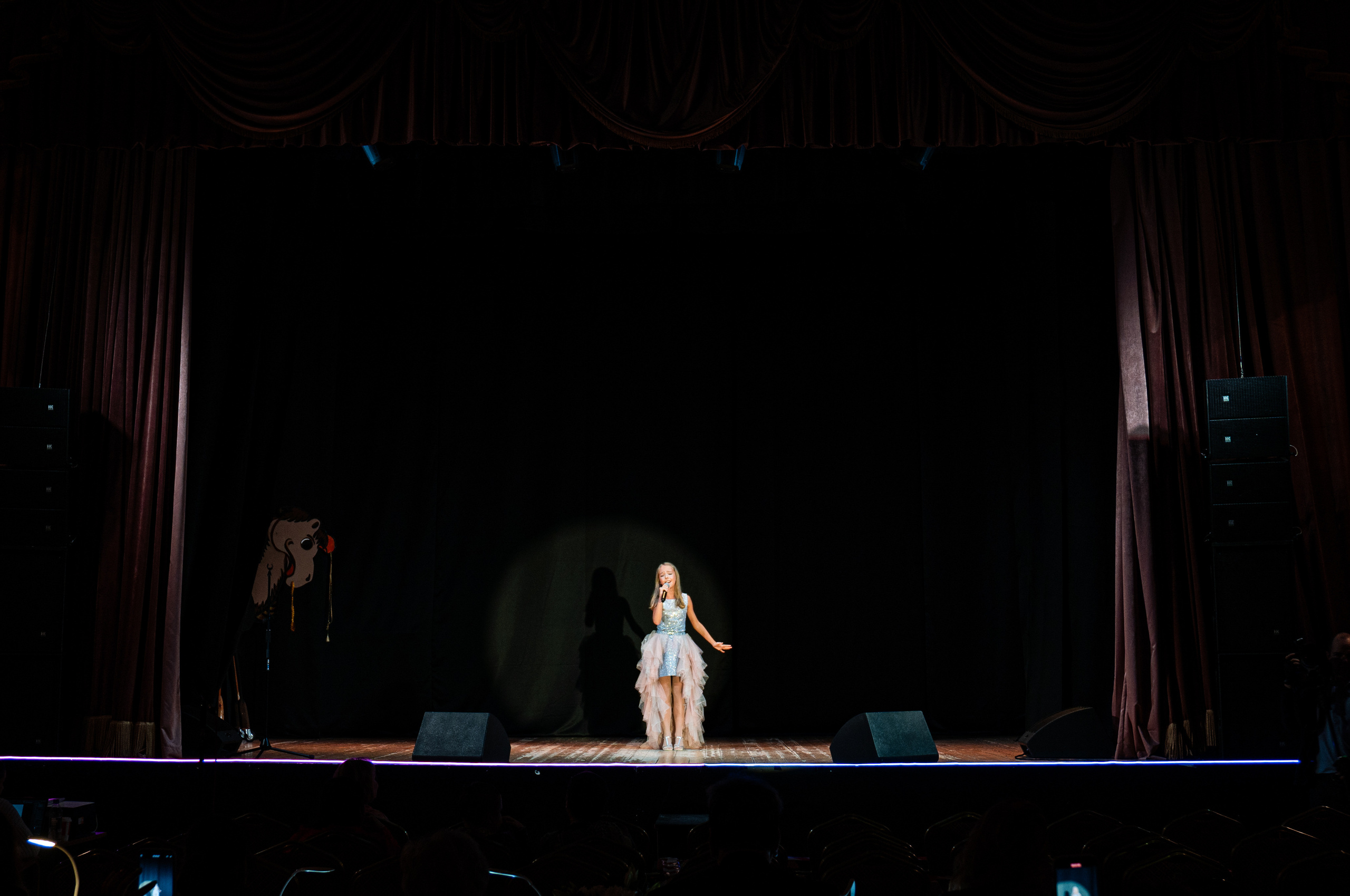 Золотая октава Сергея Пенкина. Фотограф. Москва. Алексей Светомиров. Love Story, портретная съемка