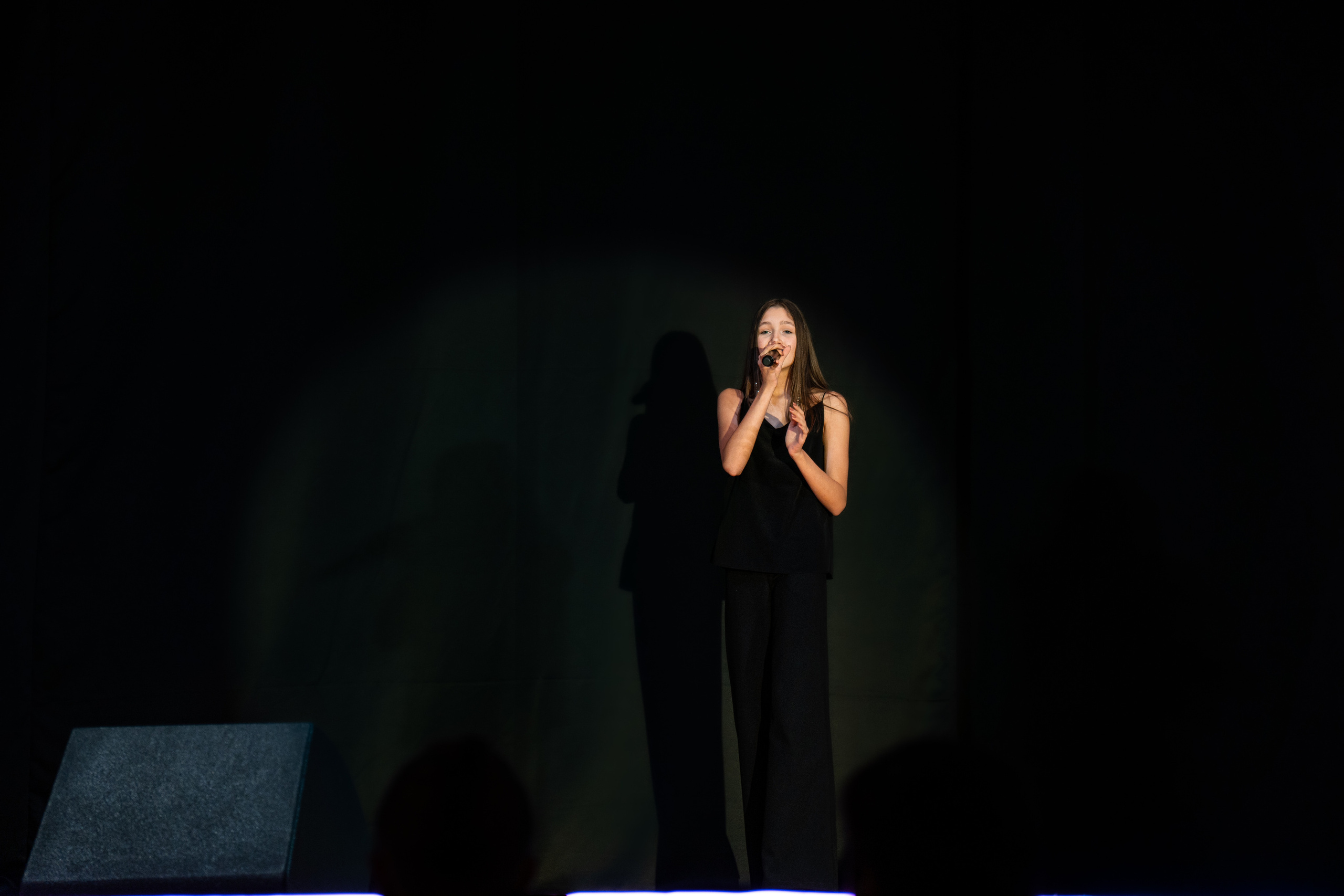 Золотая октава Сергея Пенкина. Фотограф. Москва. Алексей Светомиров. Love Story, портретная съемка