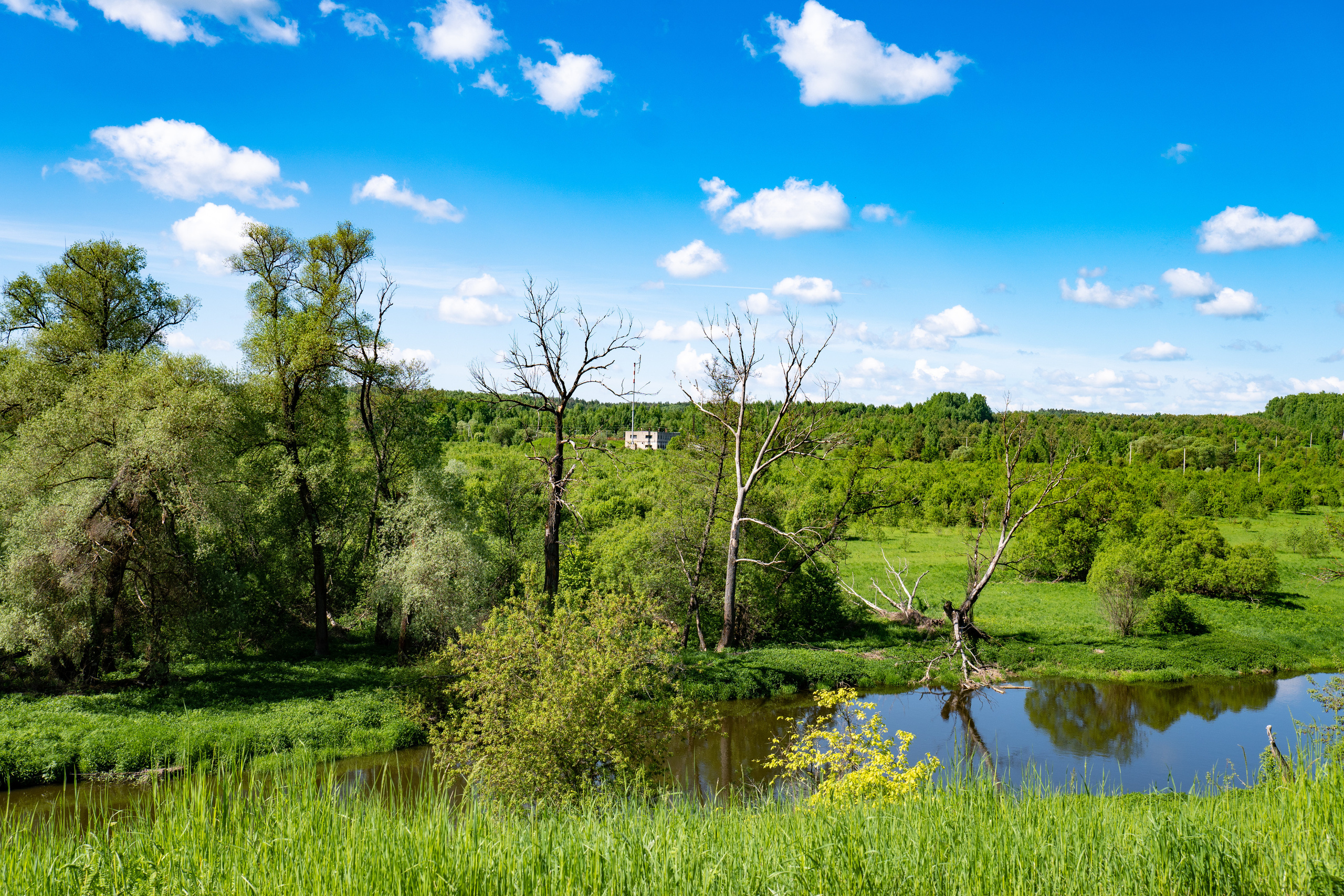 Ярга-фест. Фотограф. Москва. Алексей Светомиров. Love Story, портретная съемка