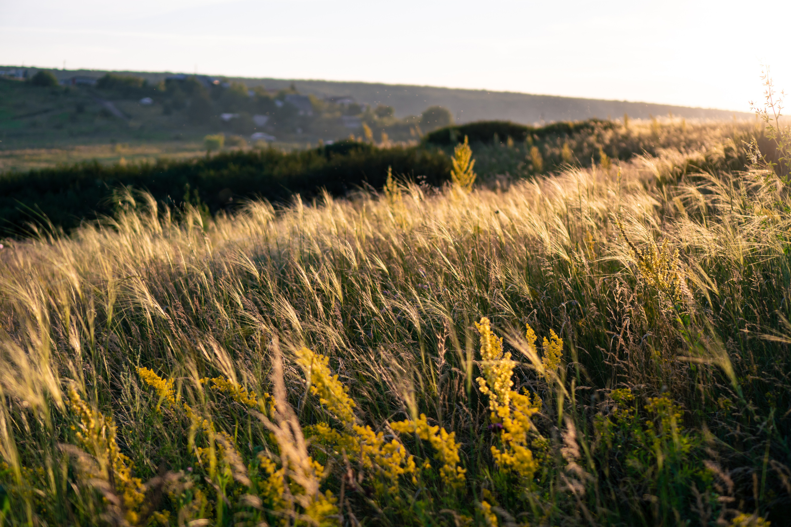 Степная душа. Фотограф. Москва. Алексей Светомиров. Love Story, портретная съемка