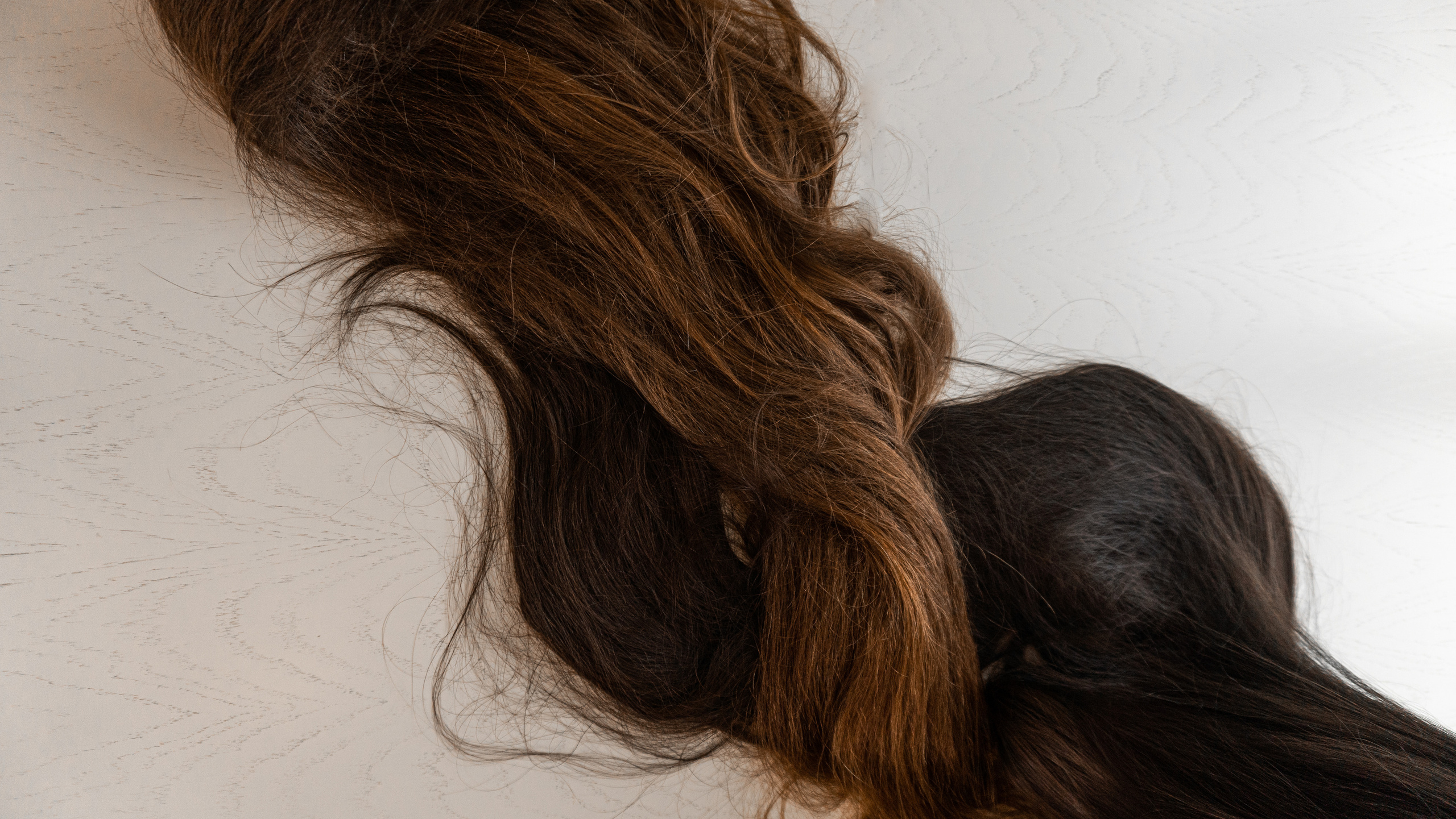 Таня и Мила. Фотограф. Москва. Алексей Светомиров. Love Story, портретная съемка