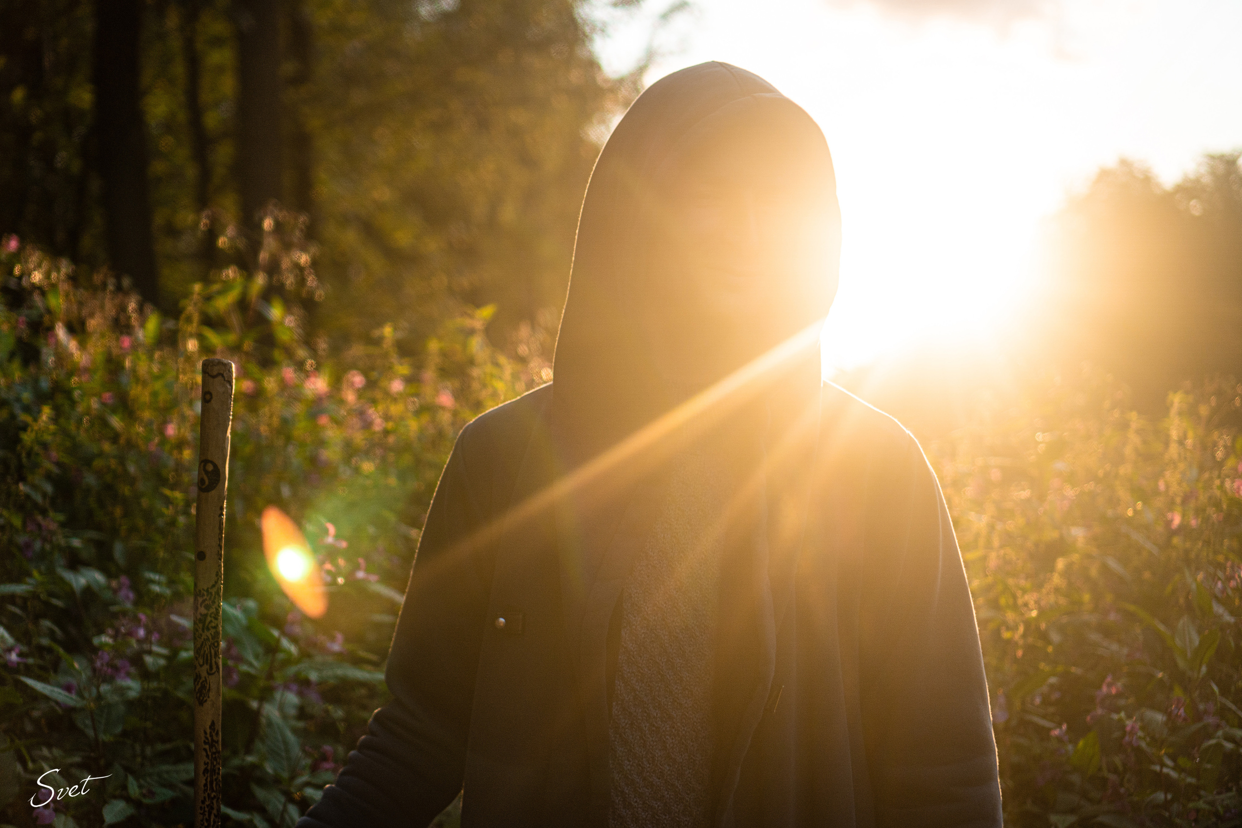 Вопросы. Фотограф. Москва. Алексей Светомиров. Love Story, портретная съемка
