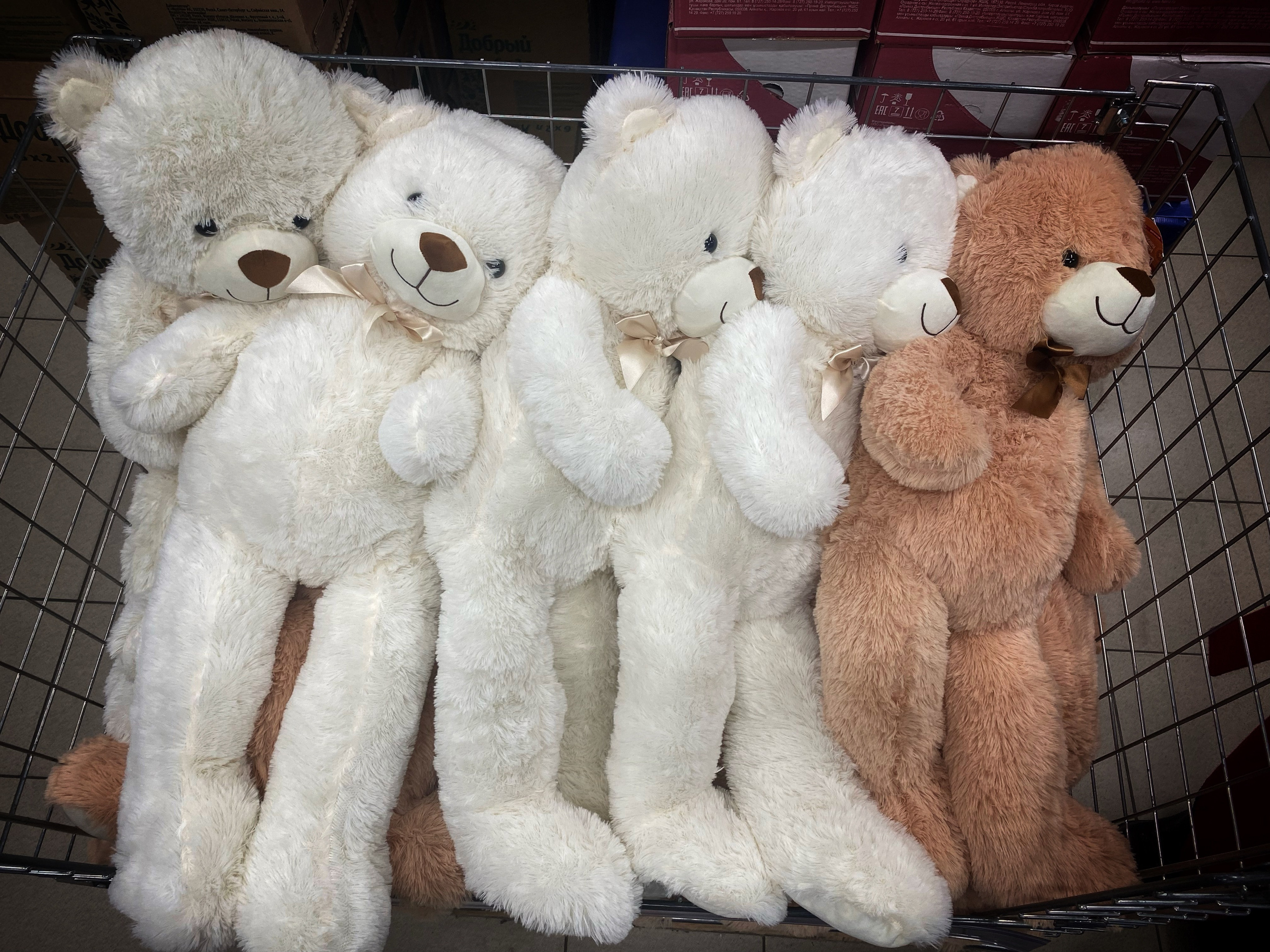 2023. Тащилин Сергей. Фотографии. Жизнь. Хобби