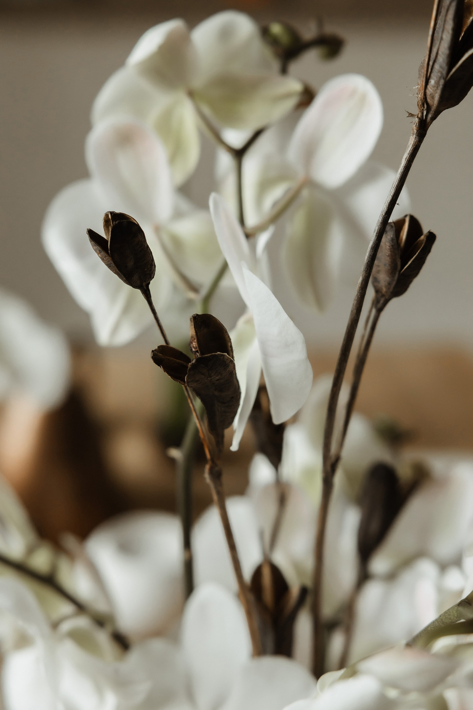 Анжелика и Вадим. Свадебный фотограф в Москве и Санкт-Петербурге Анастасия Мирославская