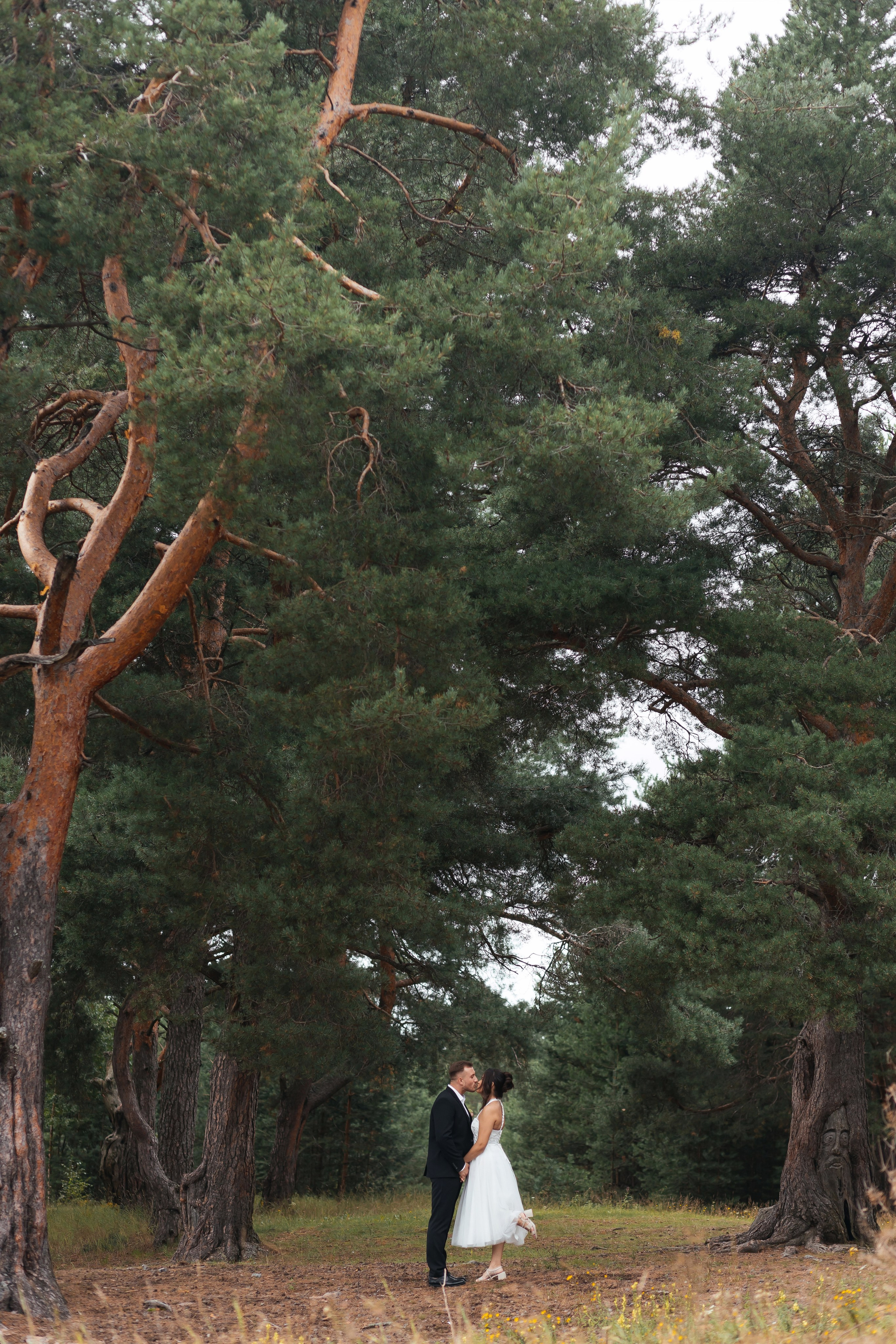 Даниил и Арина. Свадебный и семейный фотограф в Вологде Наталия Краснова