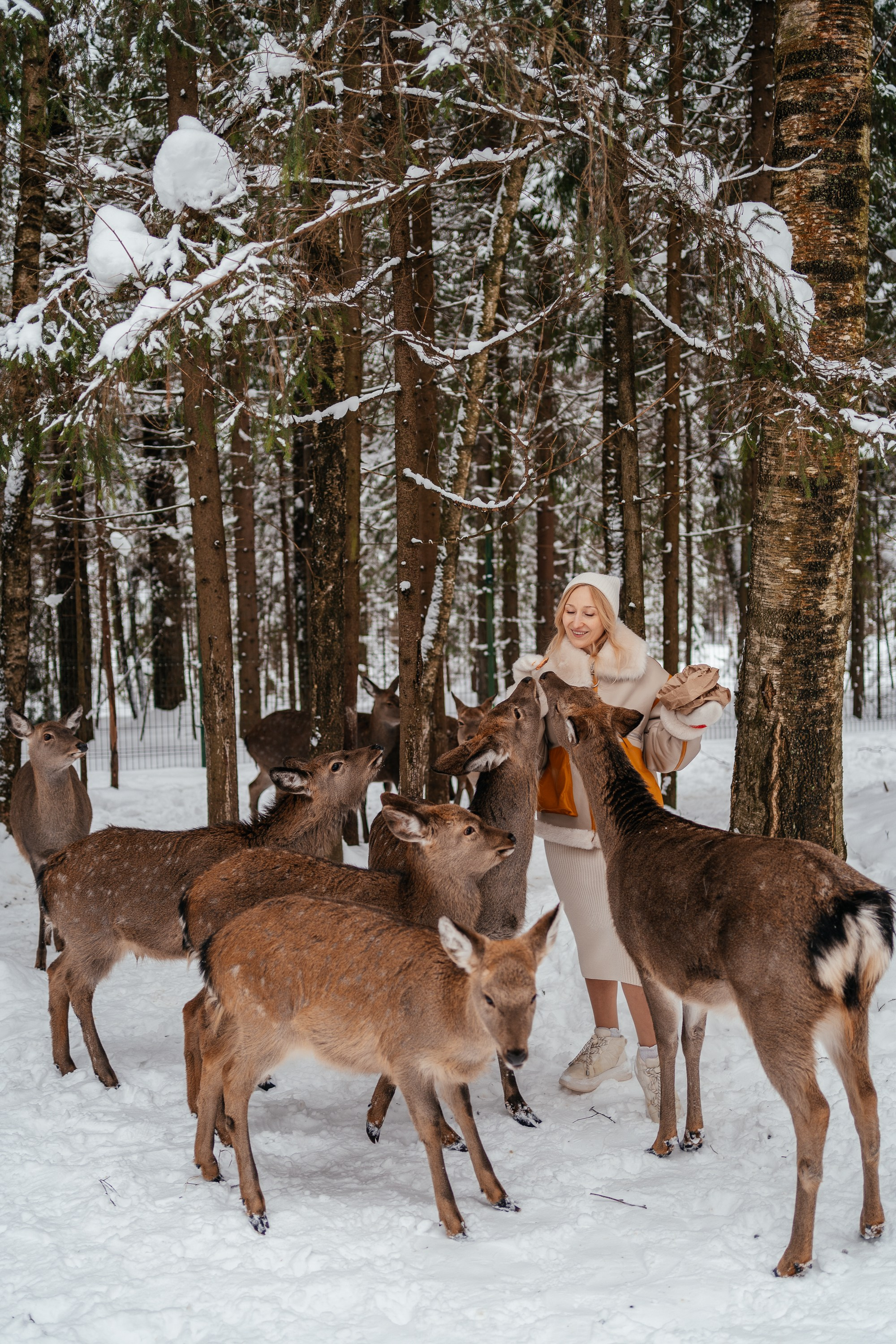 Веретьево. Семейный и детский фотограф Margo Photolab в Москве
