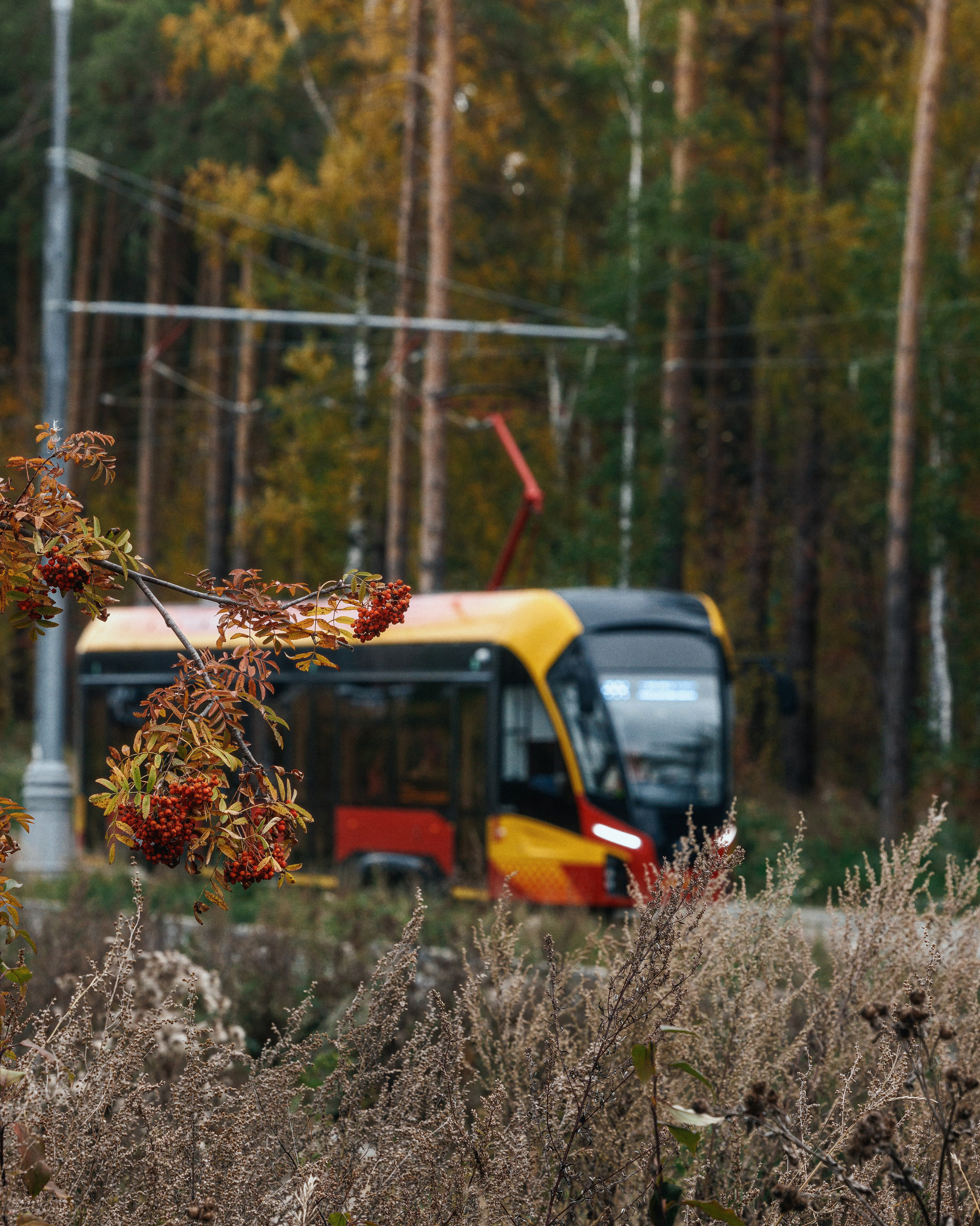 «Львёнок». Верхнепышминский трамвай. Фотограф Виталий Хайлов, Екатеринбург