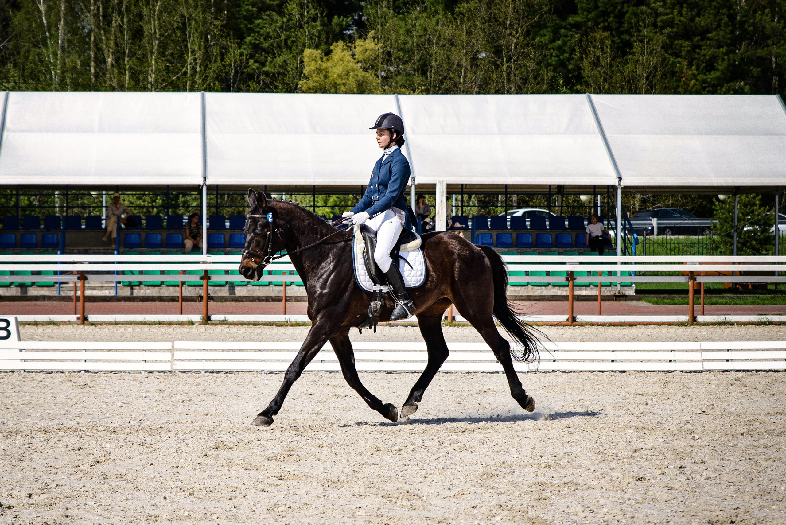 Конкур. Всероссийские соревнования. Фотограф в Ханты-Мансийске Евгений Жуланов