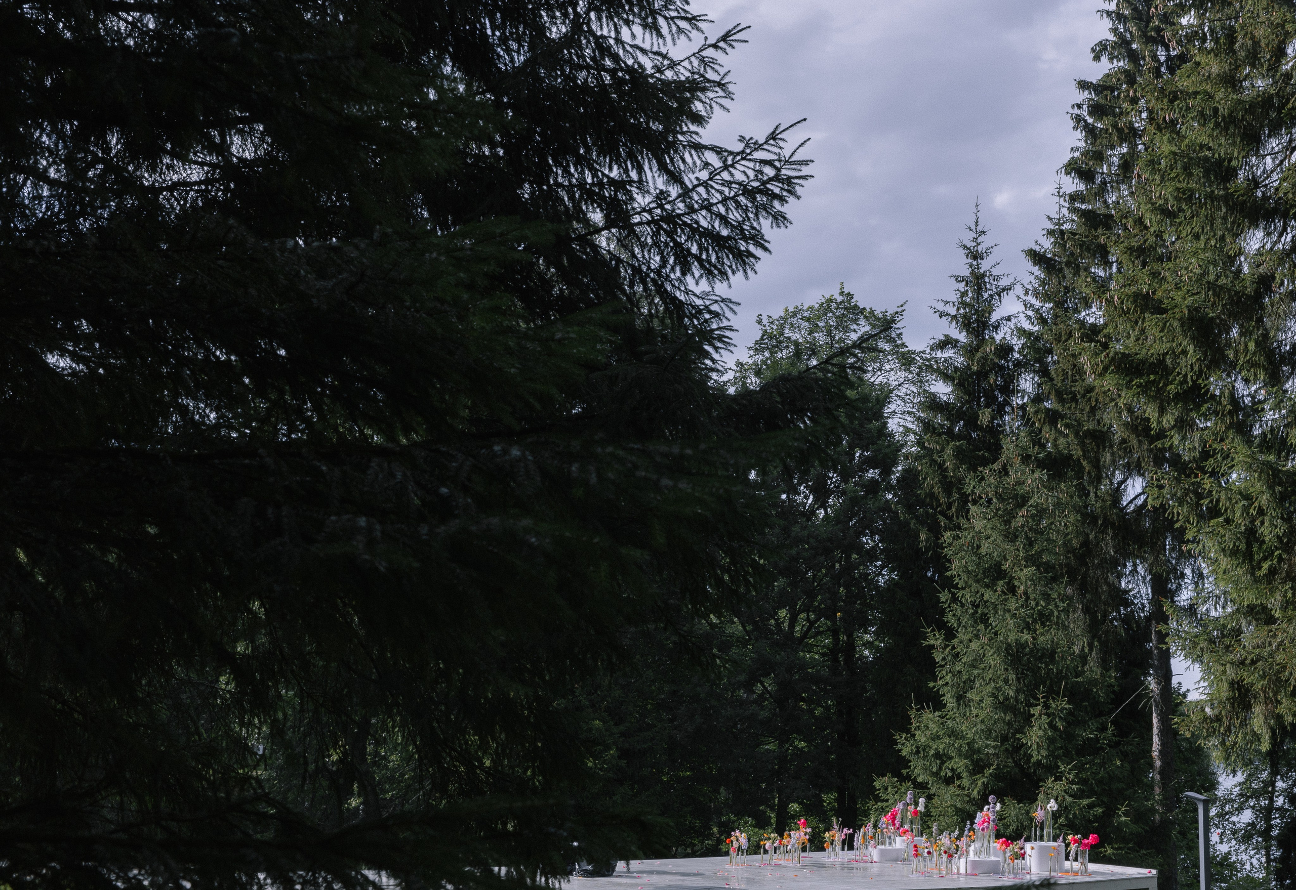 Когда, если не этим летом?. VENSKAYA WEDDING & EVENT PLANNER