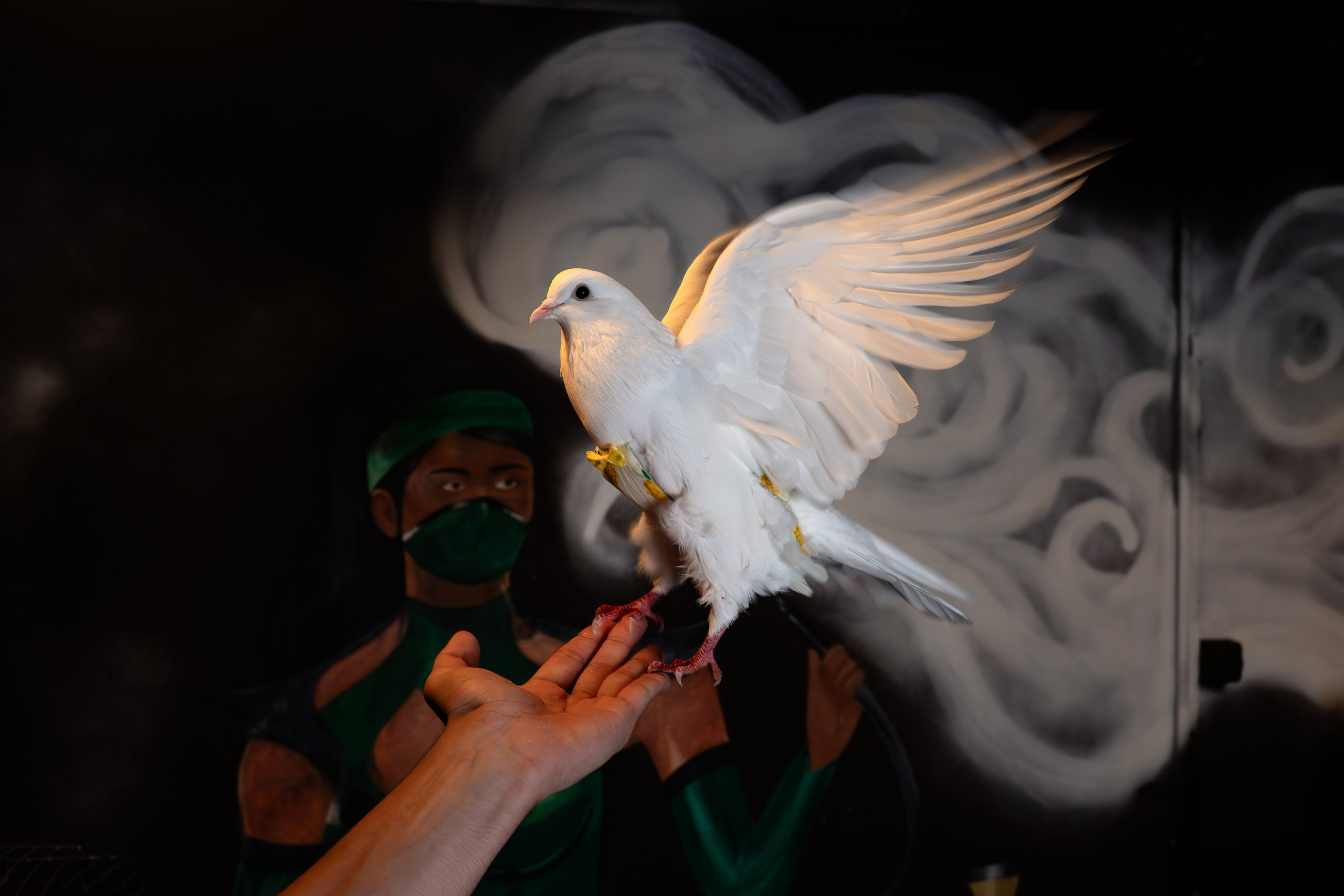 NEGA.land. JOHNNY SOLOVEV VISION