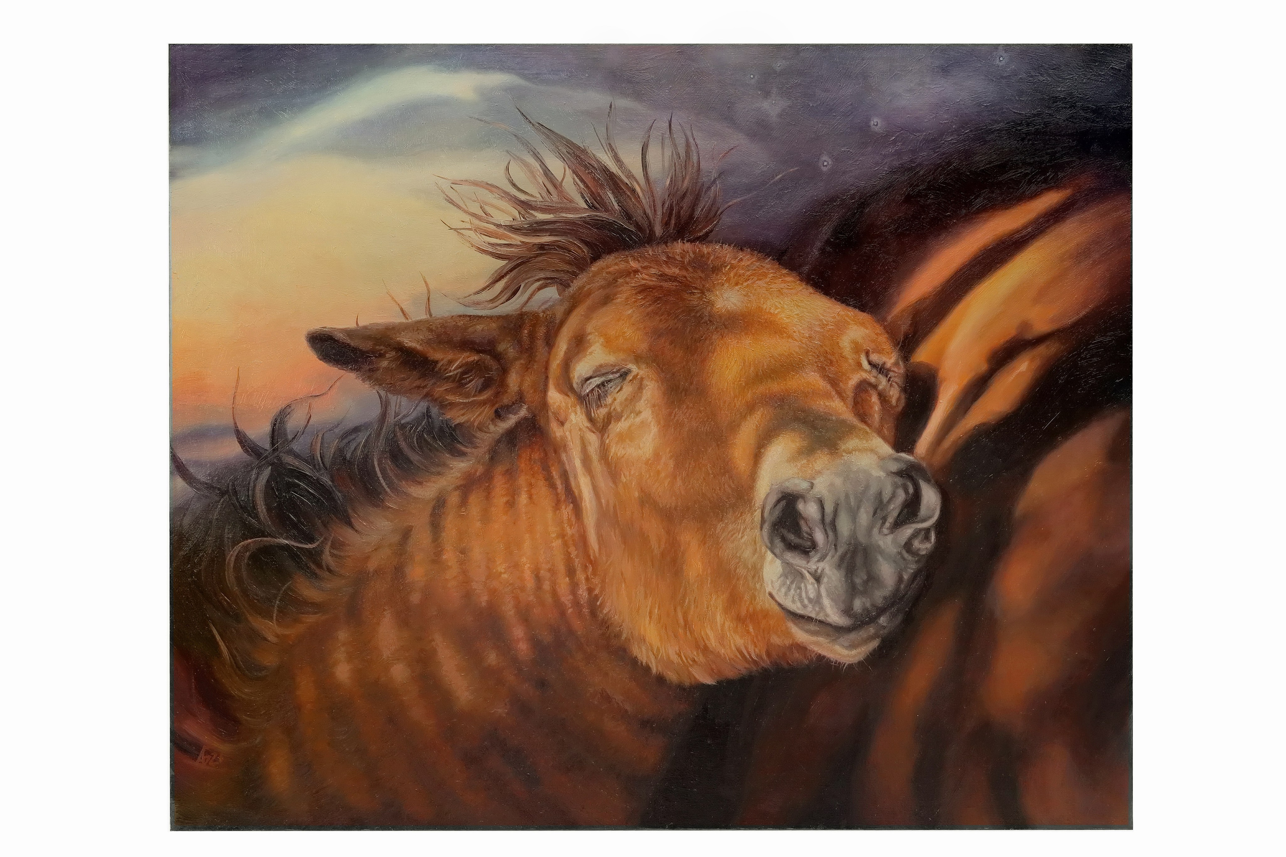 Съёмка живописи и музейных экспонатов. Рекламный и предметный фотограф в Санкт-Петербурге Мария Ерикина