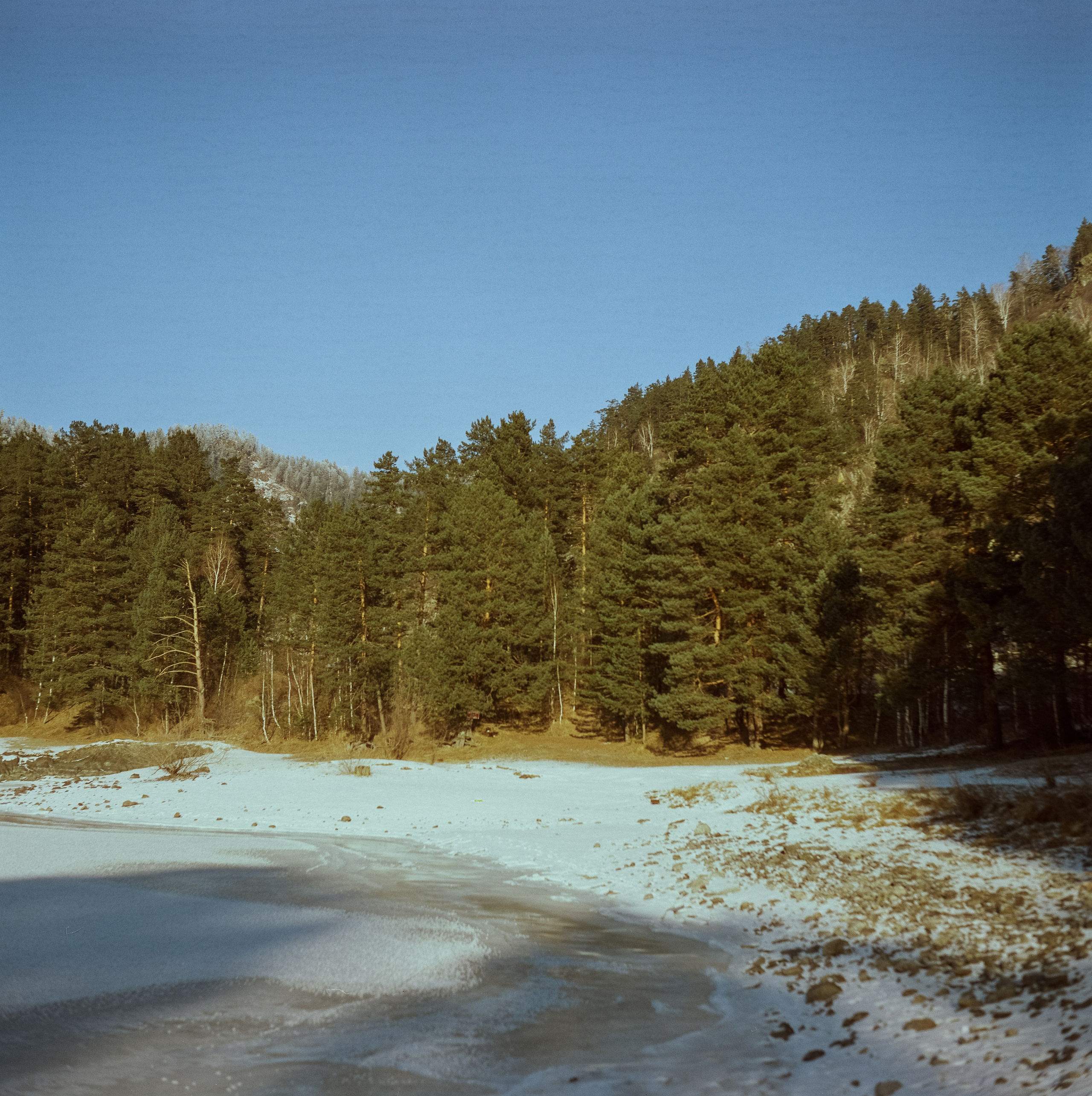 Кызыл-Таш, Кедровый остров / 11 декабря 2023 года (-25С) / CineStill 5